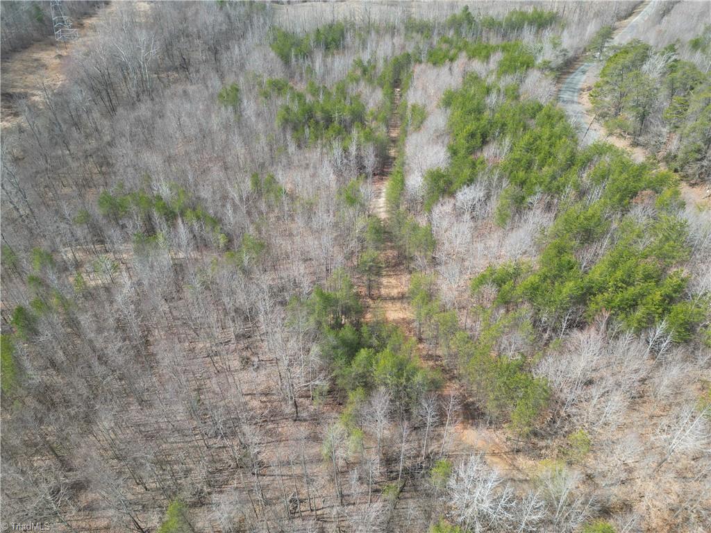 1200 Purcell Road Reidsville, NC 27320 - Photo 28 of 50