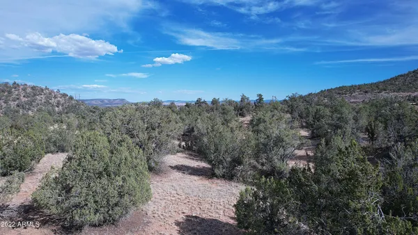 $20,000 | 52471 North Camino Gato, Unit 2099, Seligman, AZ 86337