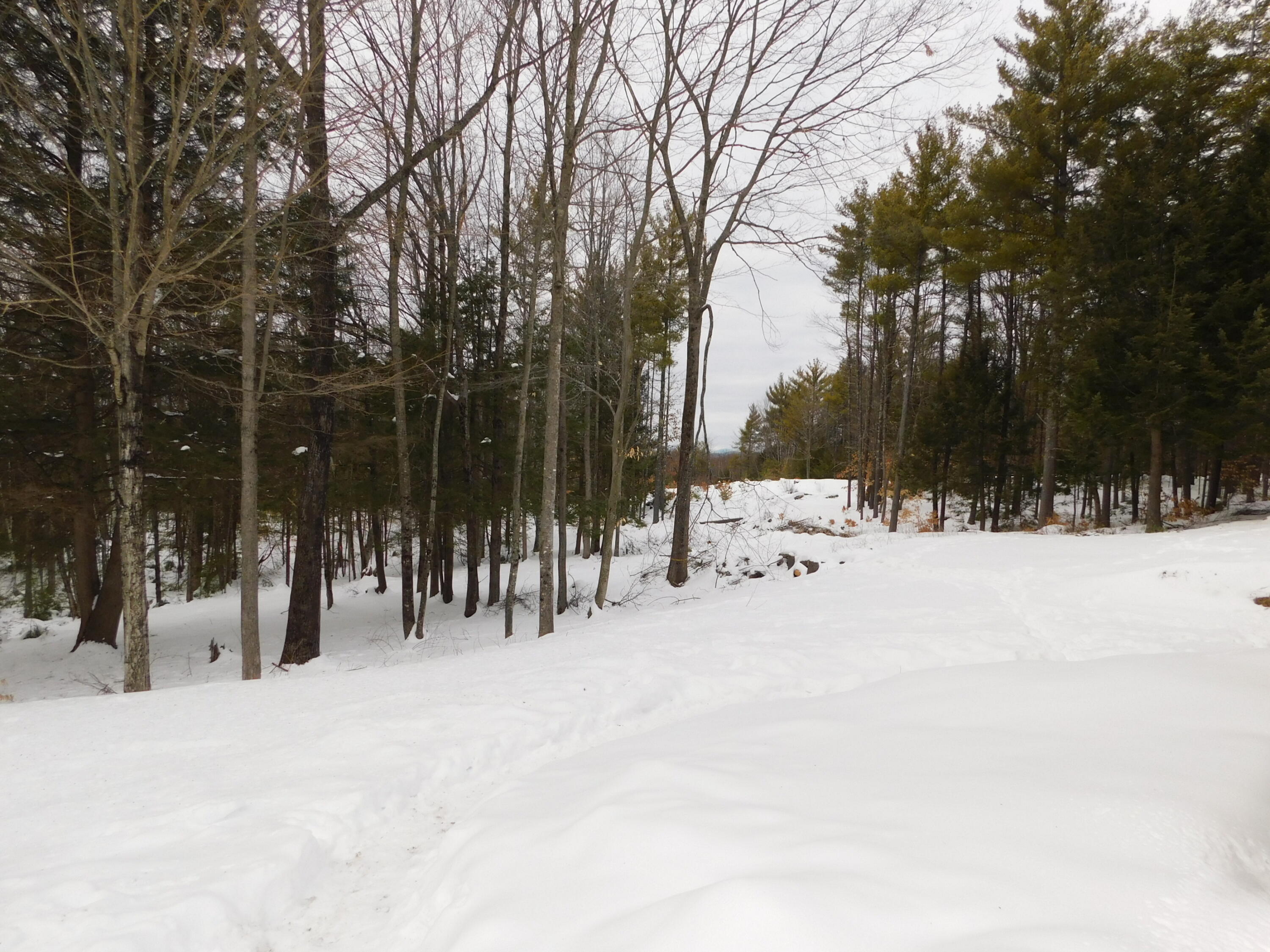 197 Hussey Road Parsonsfield, ME 04047 - Photo 35 of 39 back yard