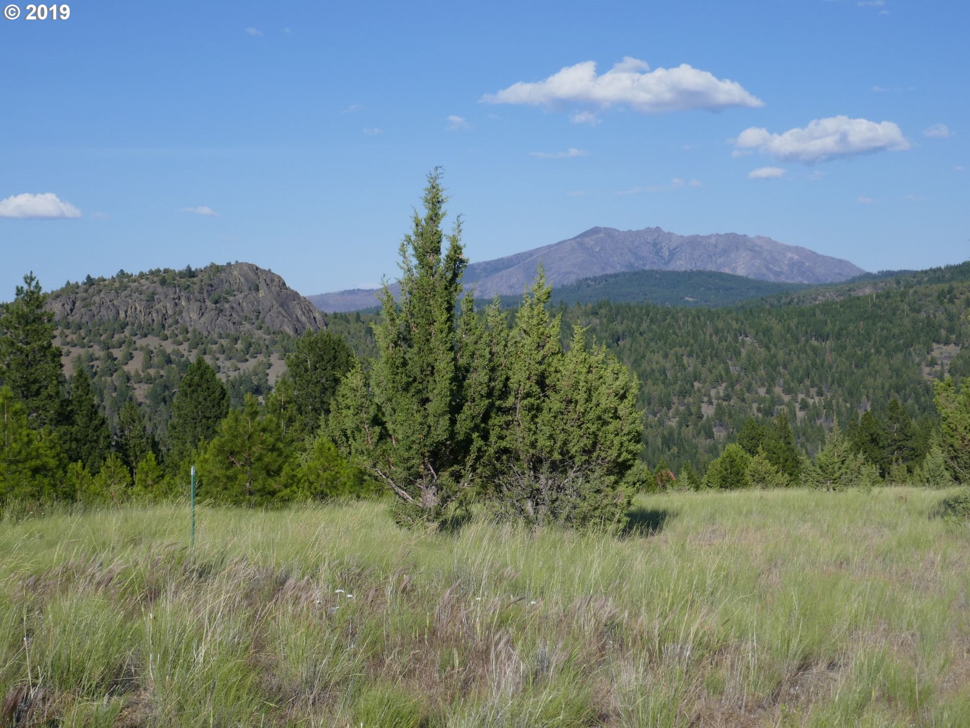 24837 Nans Rock Road Mount Vernon, OR 97865 - Photo 1 of 10 Gallery Image 1