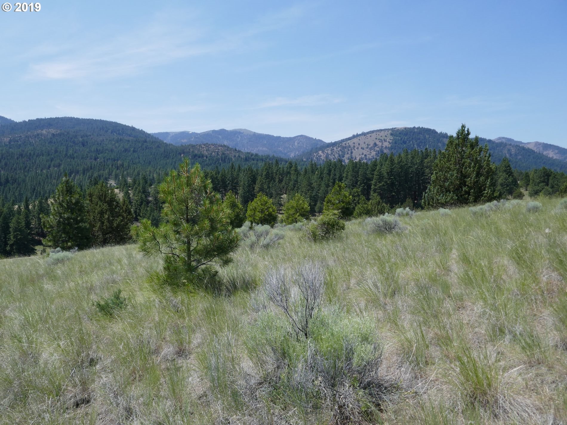 24837 Nans Rock Road Mount Vernon, OR 97865 - Photo 6 of 10 Gallery Image 6