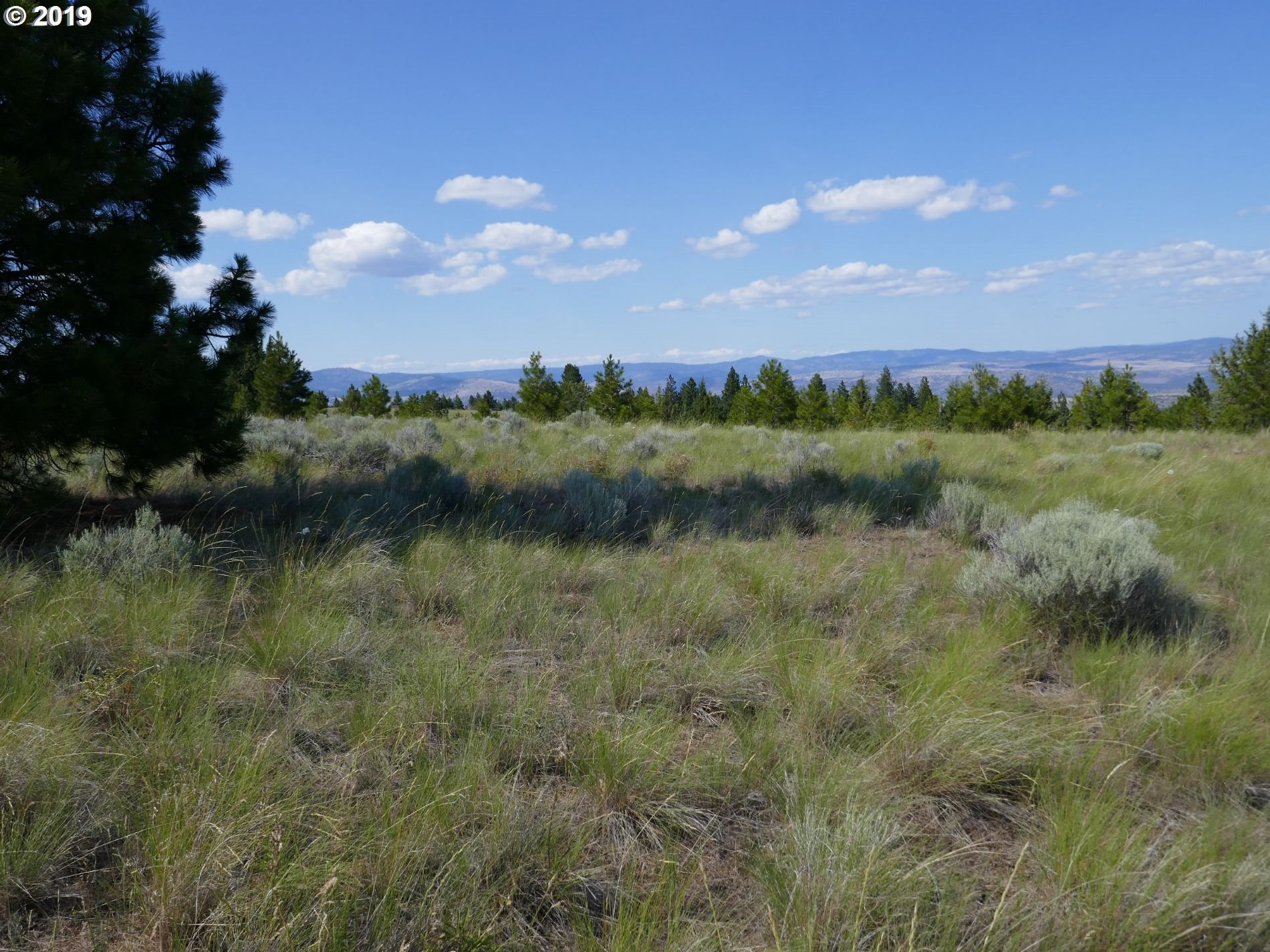 24837 Nans Rock Road Mount Vernon, OR 97865 - Photo 7 of 10 Gallery Image 7