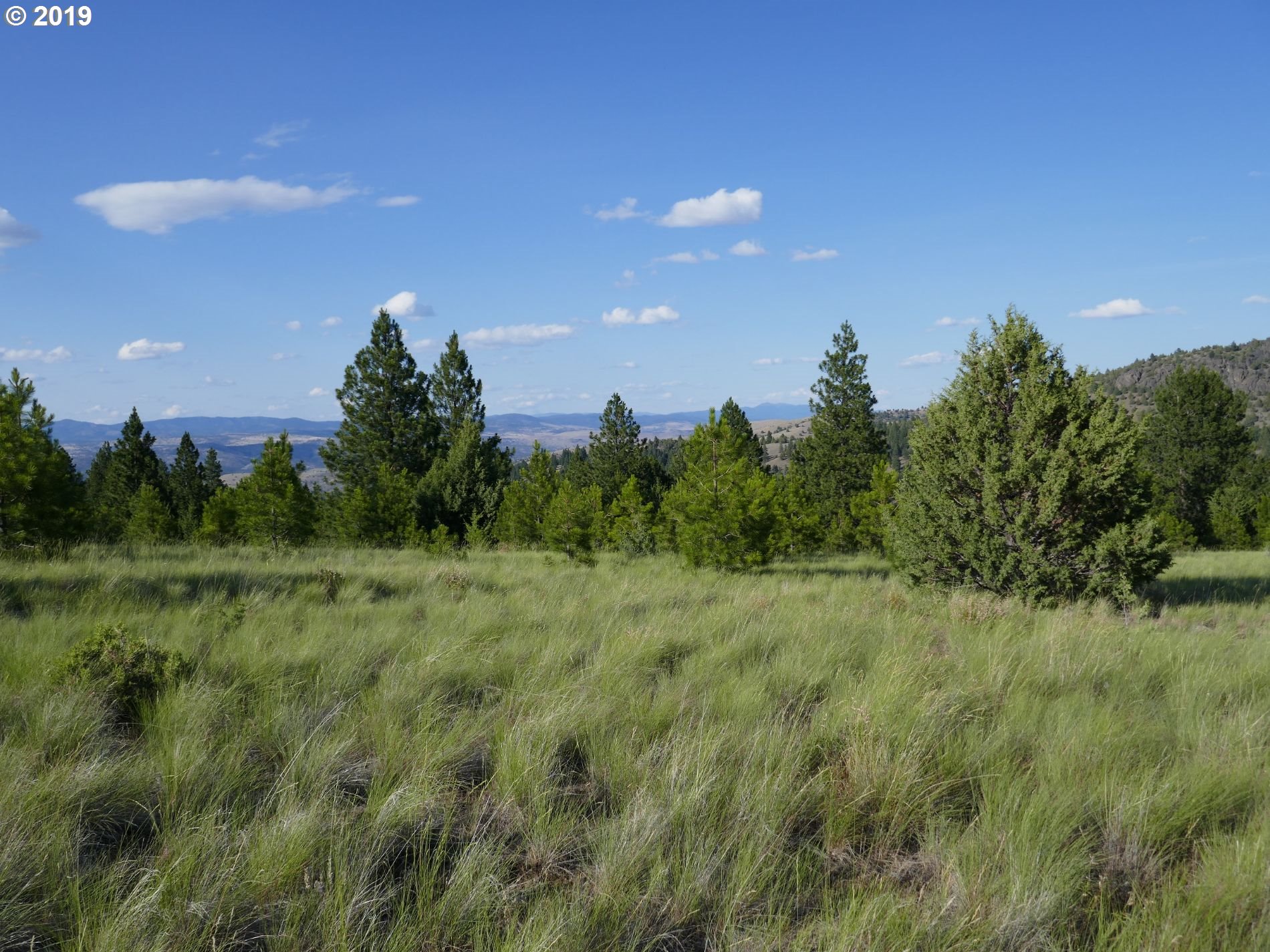 24837 Nans Rock Road Mount Vernon, OR 97865 - Photo 8 of 10 Gallery Image 8