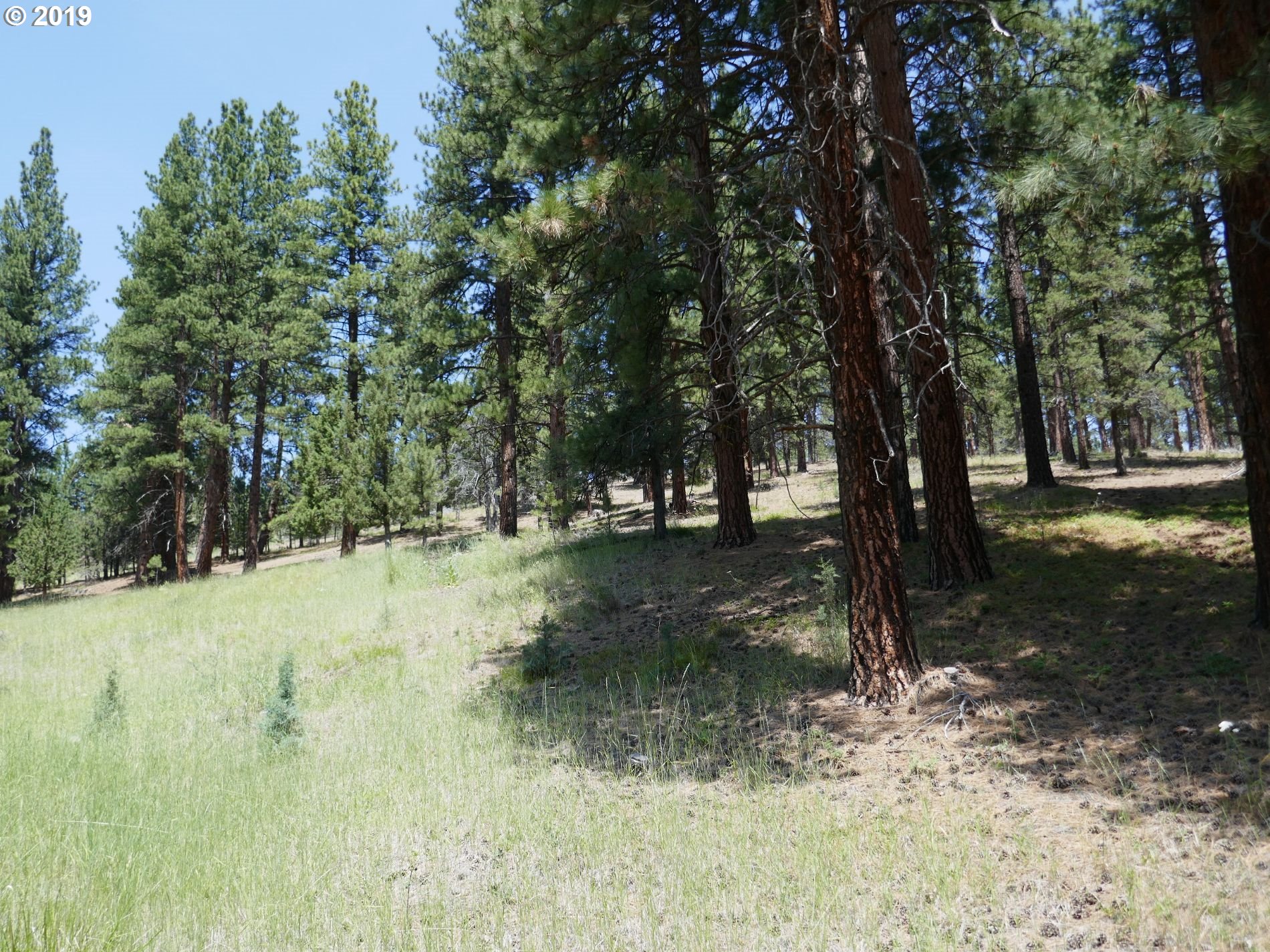24837 Nans Rock Road Mount Vernon, OR 97865 - Photo 9 of 10 Gallery Image 9