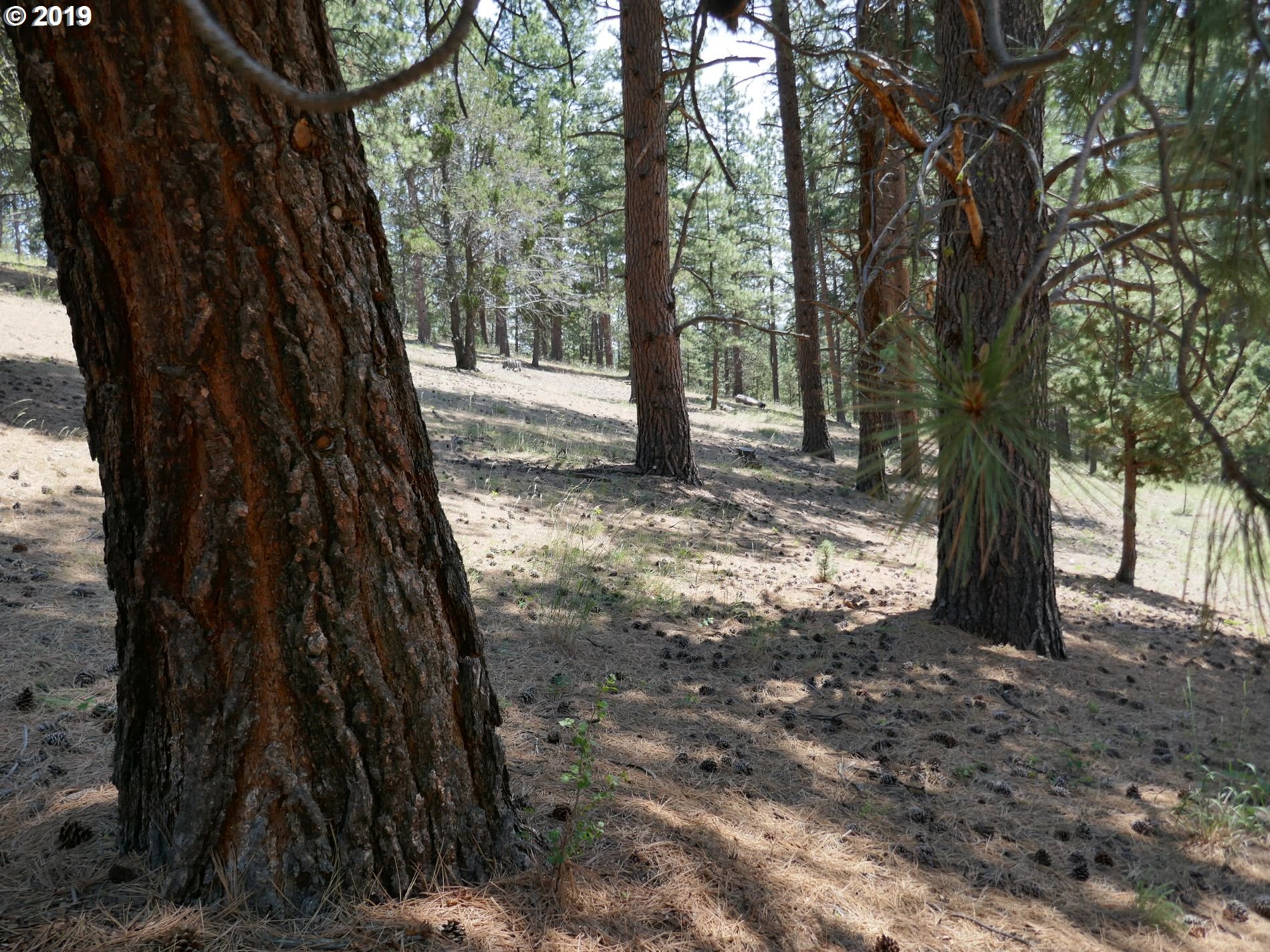 24837 Nans Rock Road Mount Vernon, OR 97865 - Photo 10 of 10 Gallery Image 10
