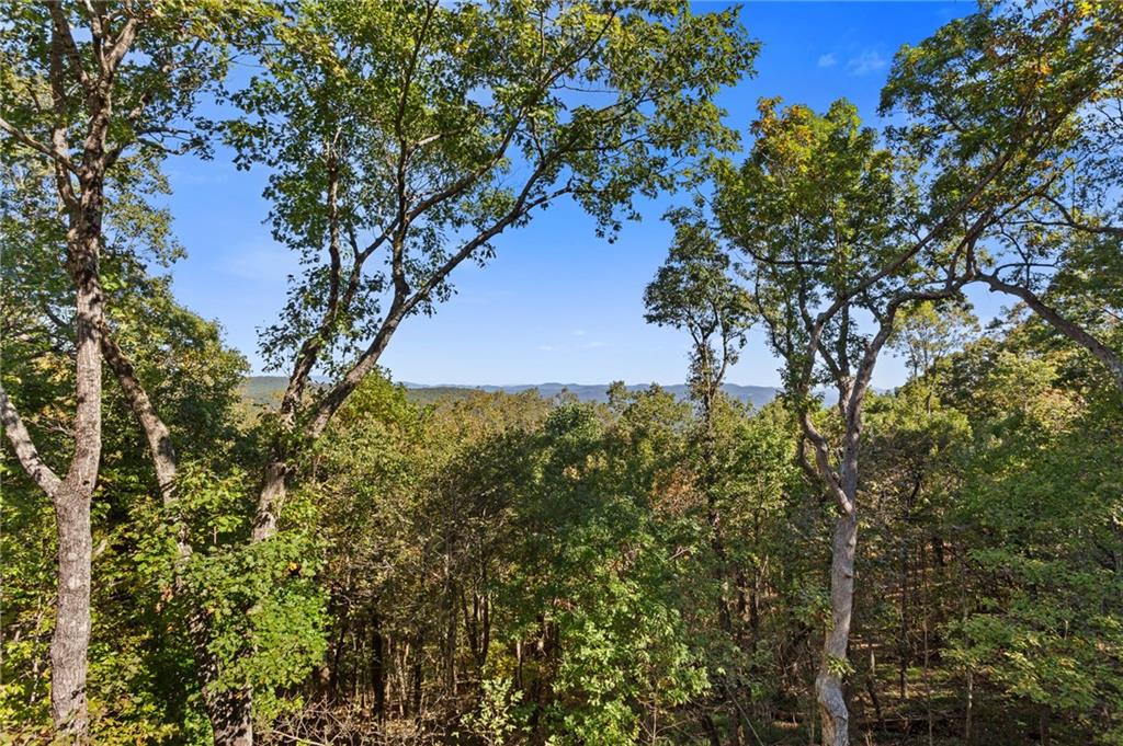 1319 Deer Run Ridge Jasper, GA 30143 - Photo 4 of 67 a view of a tree in a yard