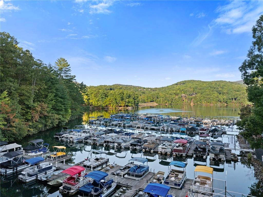 1319 Deer Run Ridge Jasper, GA 30143 - Photo 54 of 67