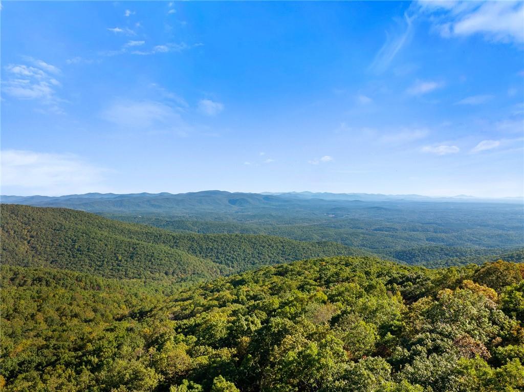 1319 Deer Run Ridge Jasper, GA 30143 - Photo 57 of 67 a view of an ocean and a mountain