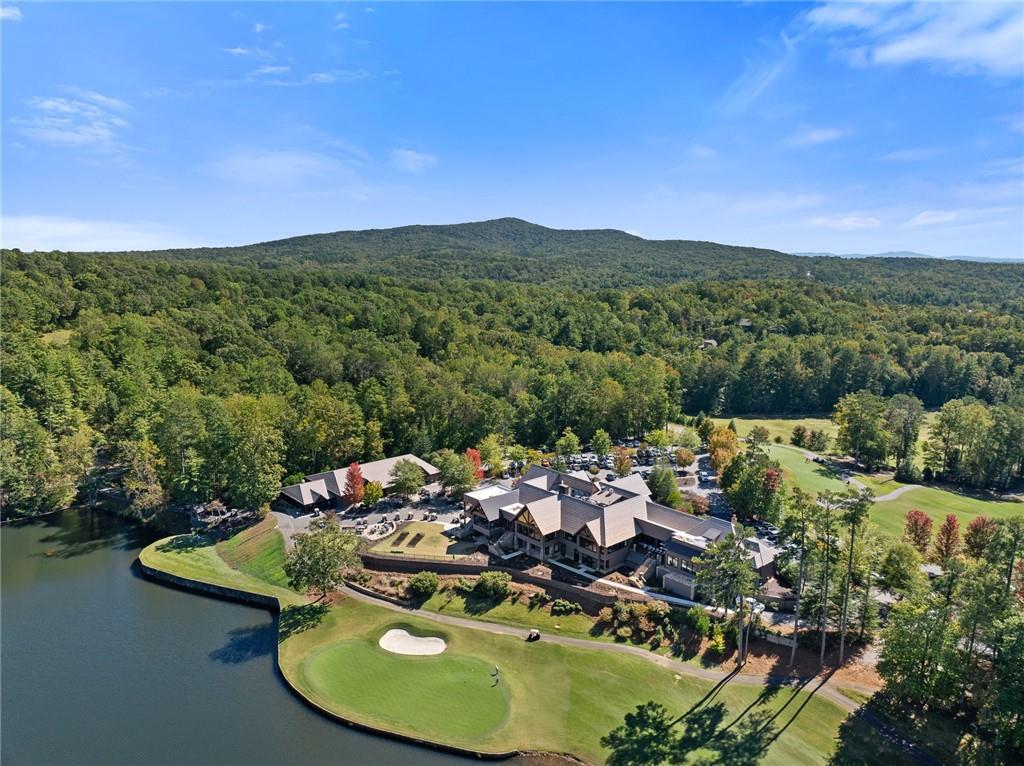 1319 Deer Run Ridge Jasper, GA 30143 - Photo 64 of 67 a view of a lake with a mountain