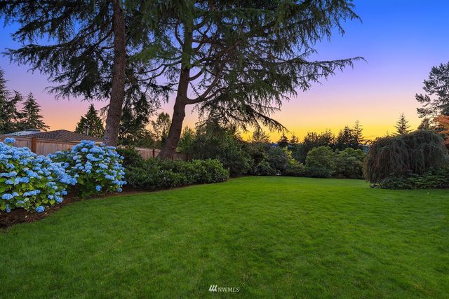 a view of a garden with a tree