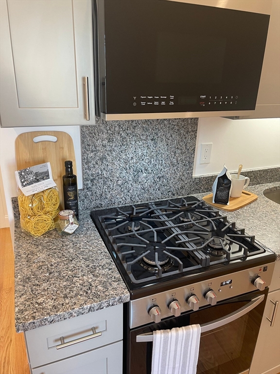 52 Washington Avenue, Unit 101 Chelsea, MA 02150 - Photo 7 of 10