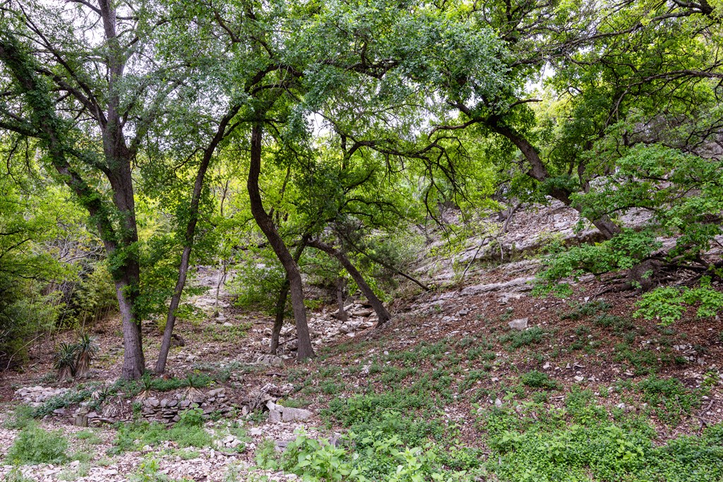 2985 Highway 39 Hunt, TX 78024 - Photo 28 of 33