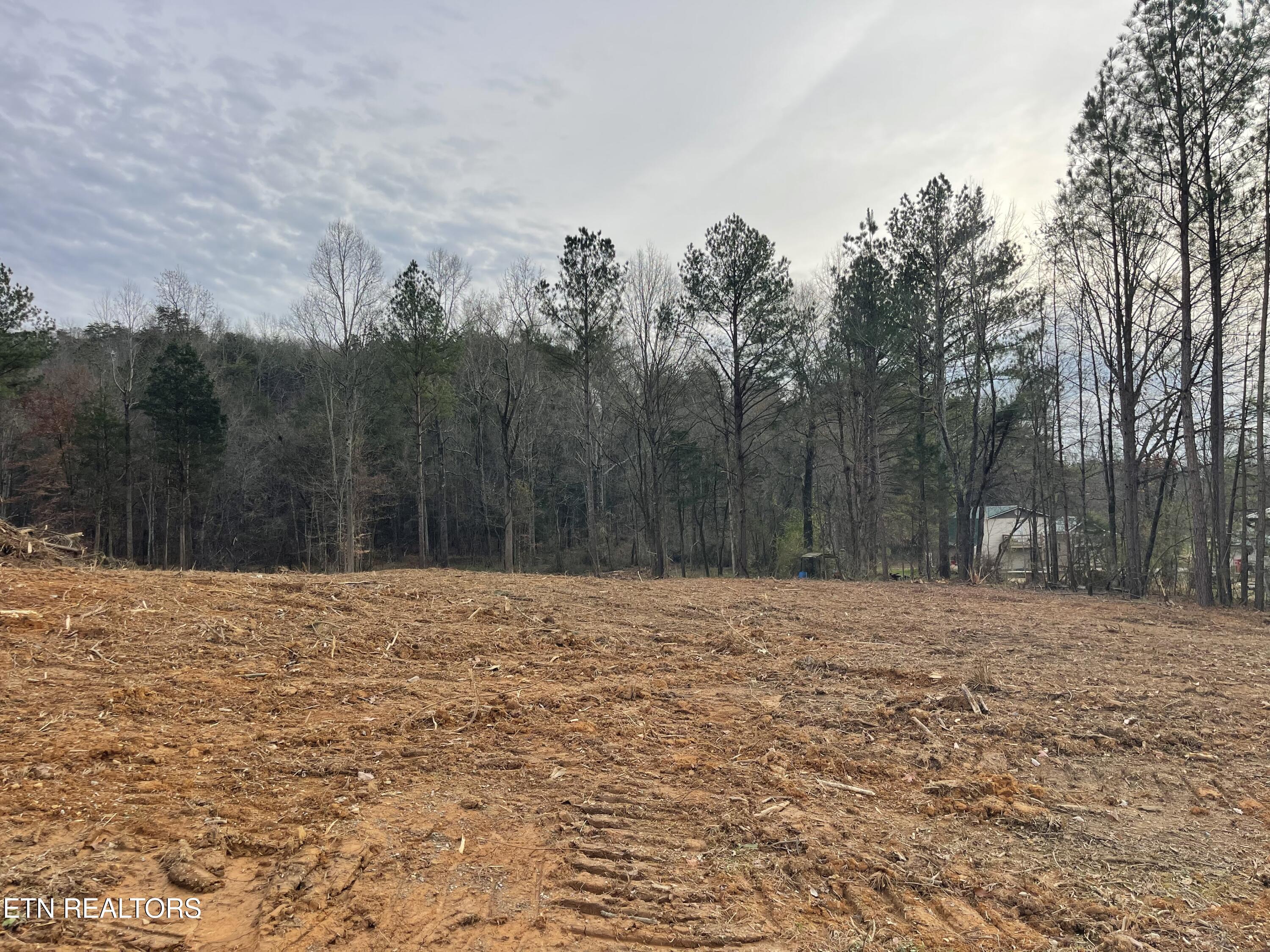 79 Robbies Lane Decatur, TN 37322 - Photo 1 of 2 IMG_1652