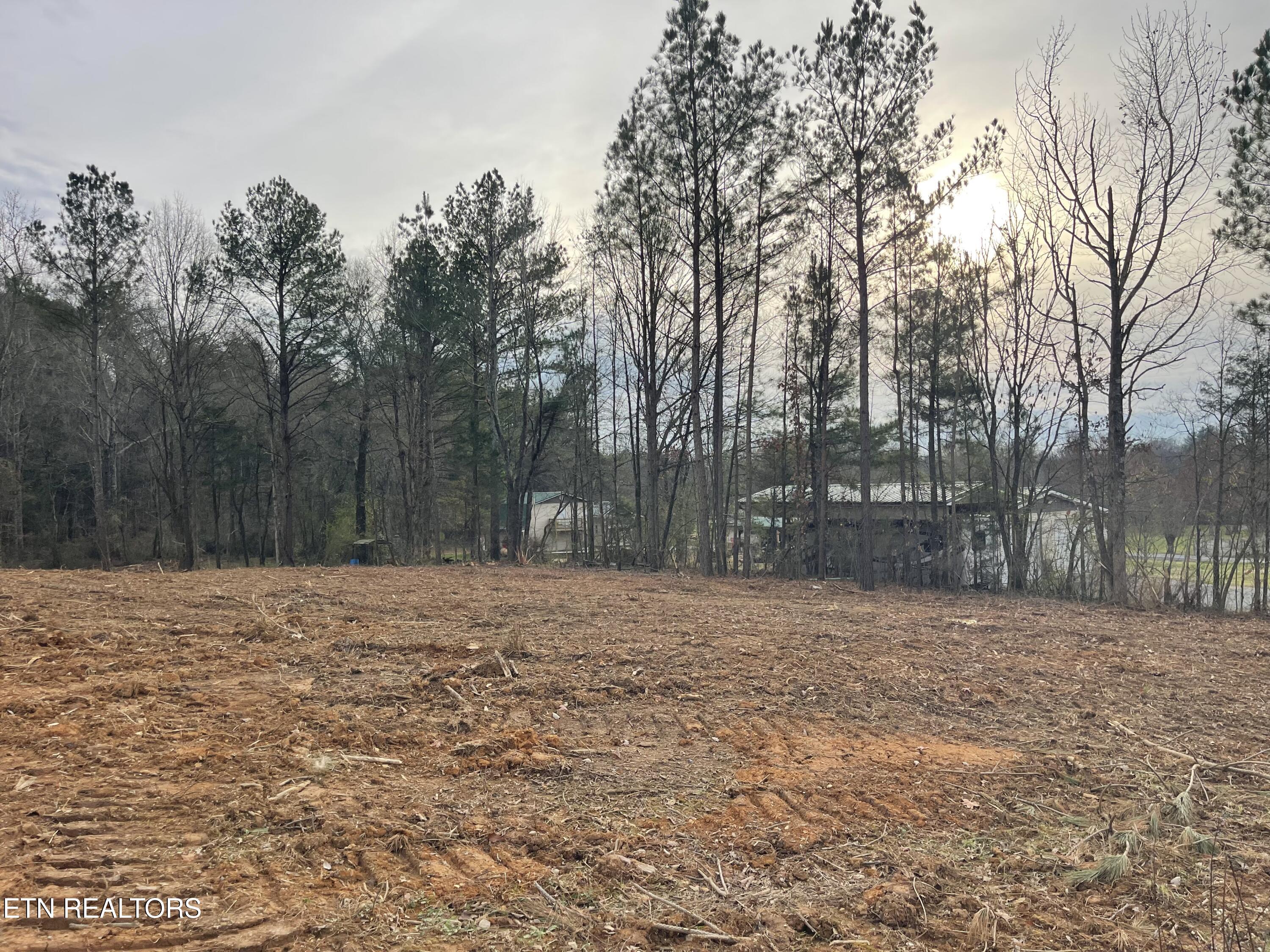 79 Robbies Lane Decatur, TN 37322 - Photo 2 of 2 IMG_1651