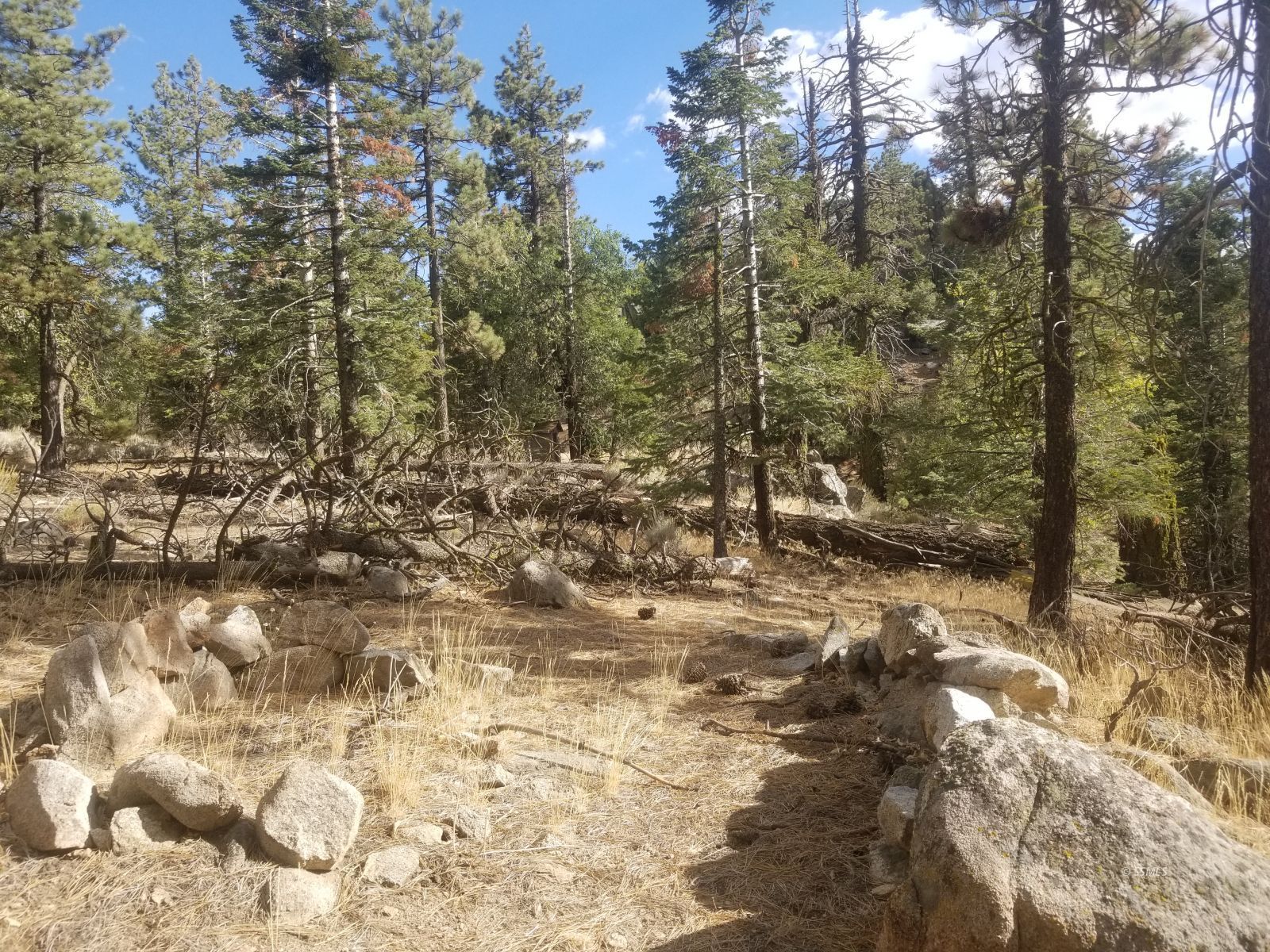 Piute Pines Caliente, CA 93518 - Photo 13 of 26