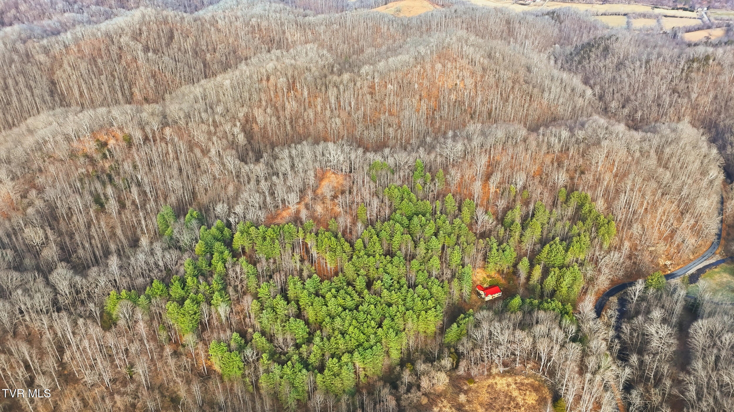 11132 Toole Creek Road Abingdon, VA 24210 - Photo 35 of 40 IMG_1123