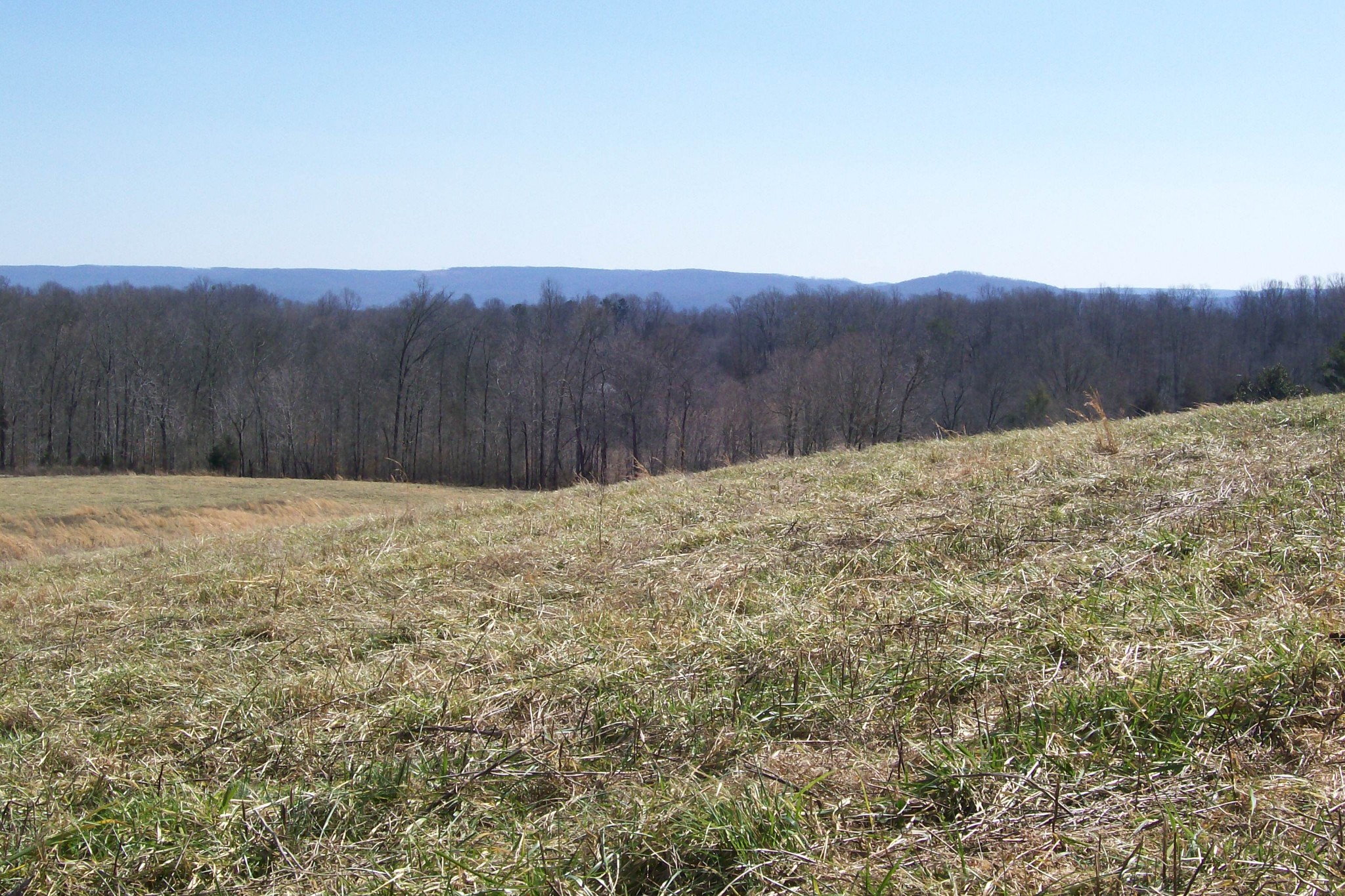 16800 Old Kentucky Road Walling, TN 38587 - Photo 1 of 11 Gallery Image 1