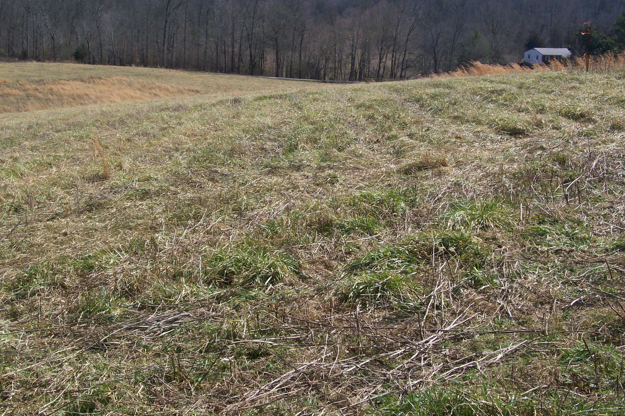 16800 Old Kentucky Road Walling, TN 38587 - Photo 2 of 11 Gallery Image 2