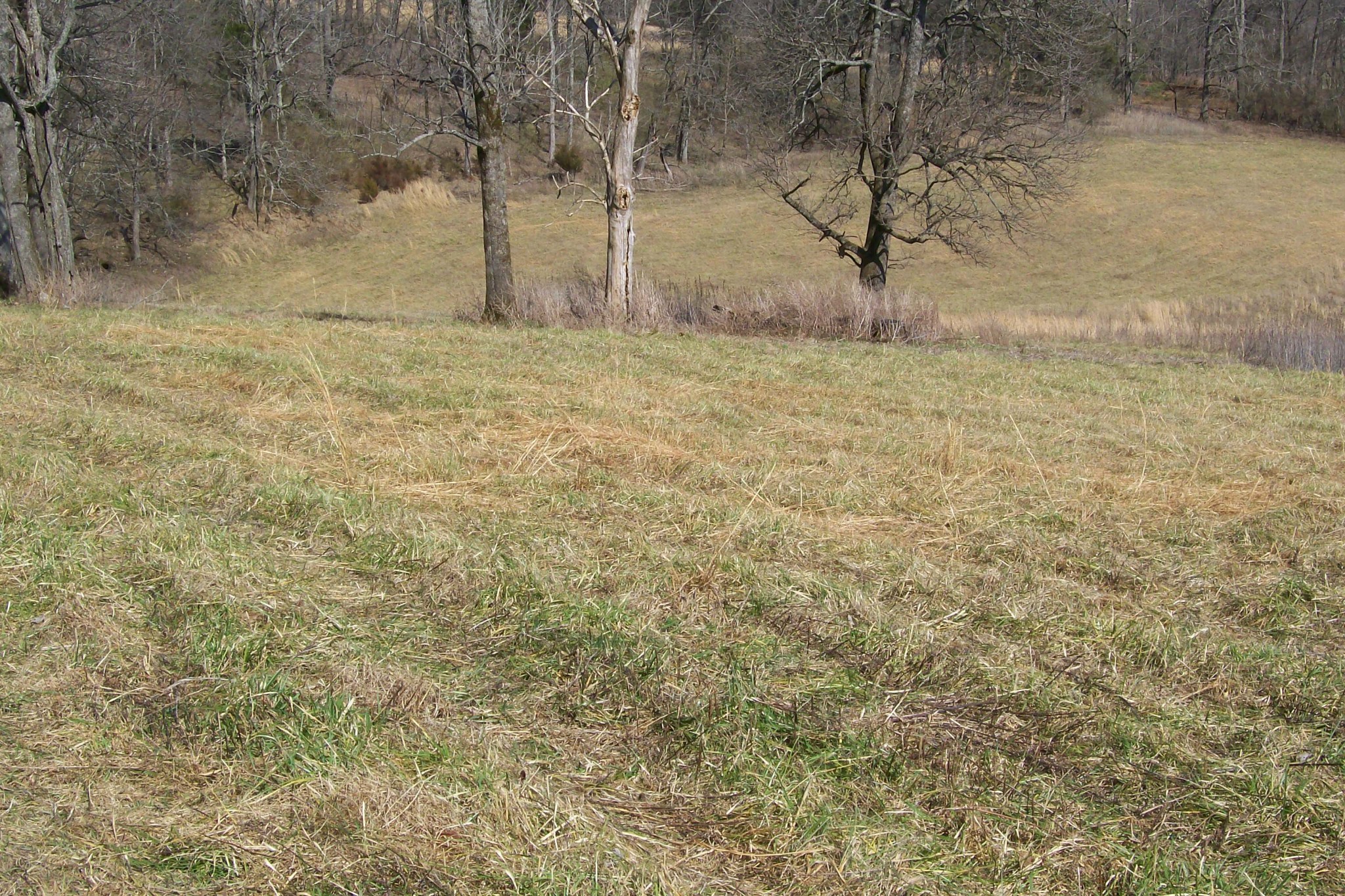 16800 Old Kentucky Road Walling, TN 38587 - Photo 3 of 11 Gallery Image 3