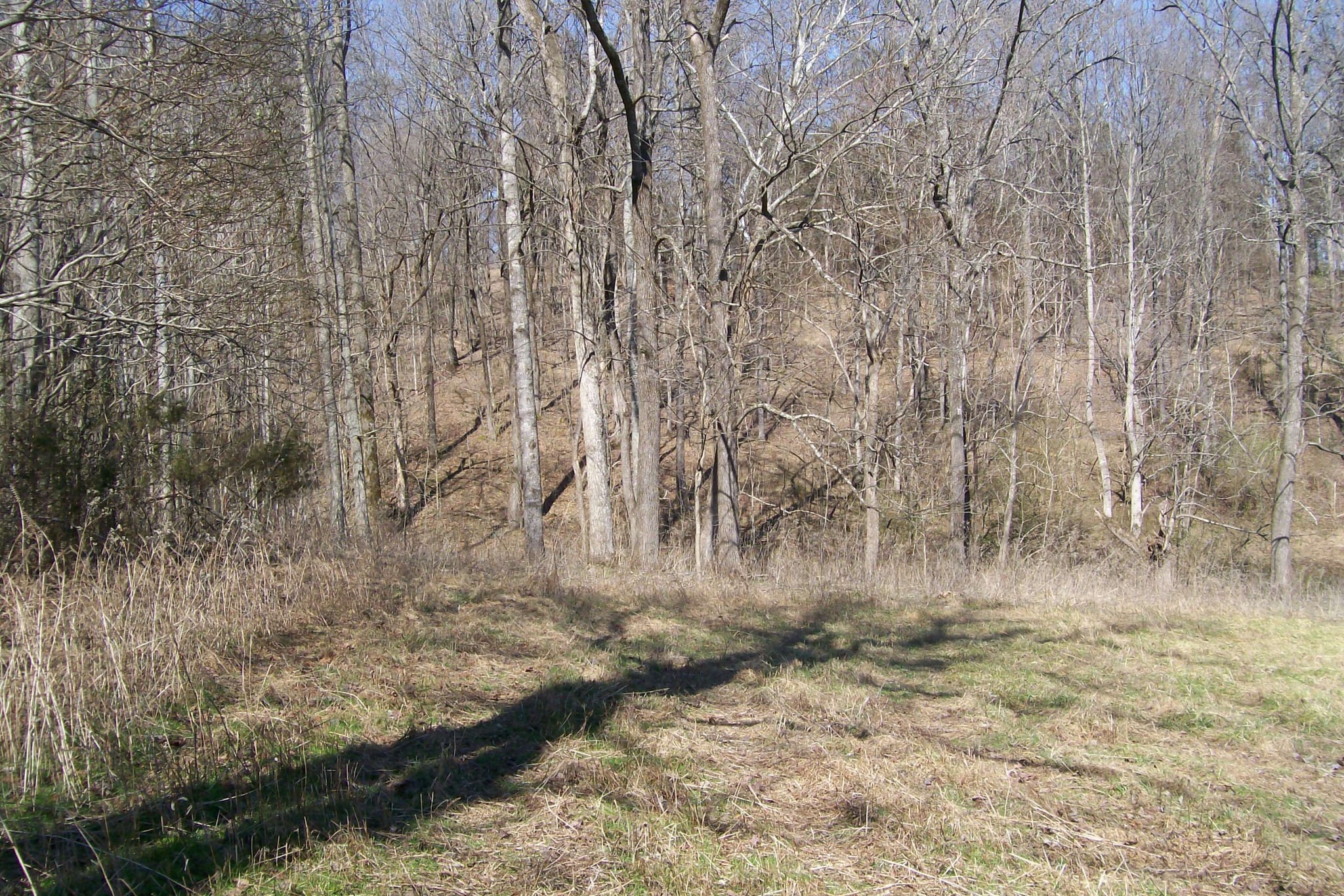 16800 Old Kentucky Road Walling, TN 38587 - Photo 4 of 11 Gallery Image 4