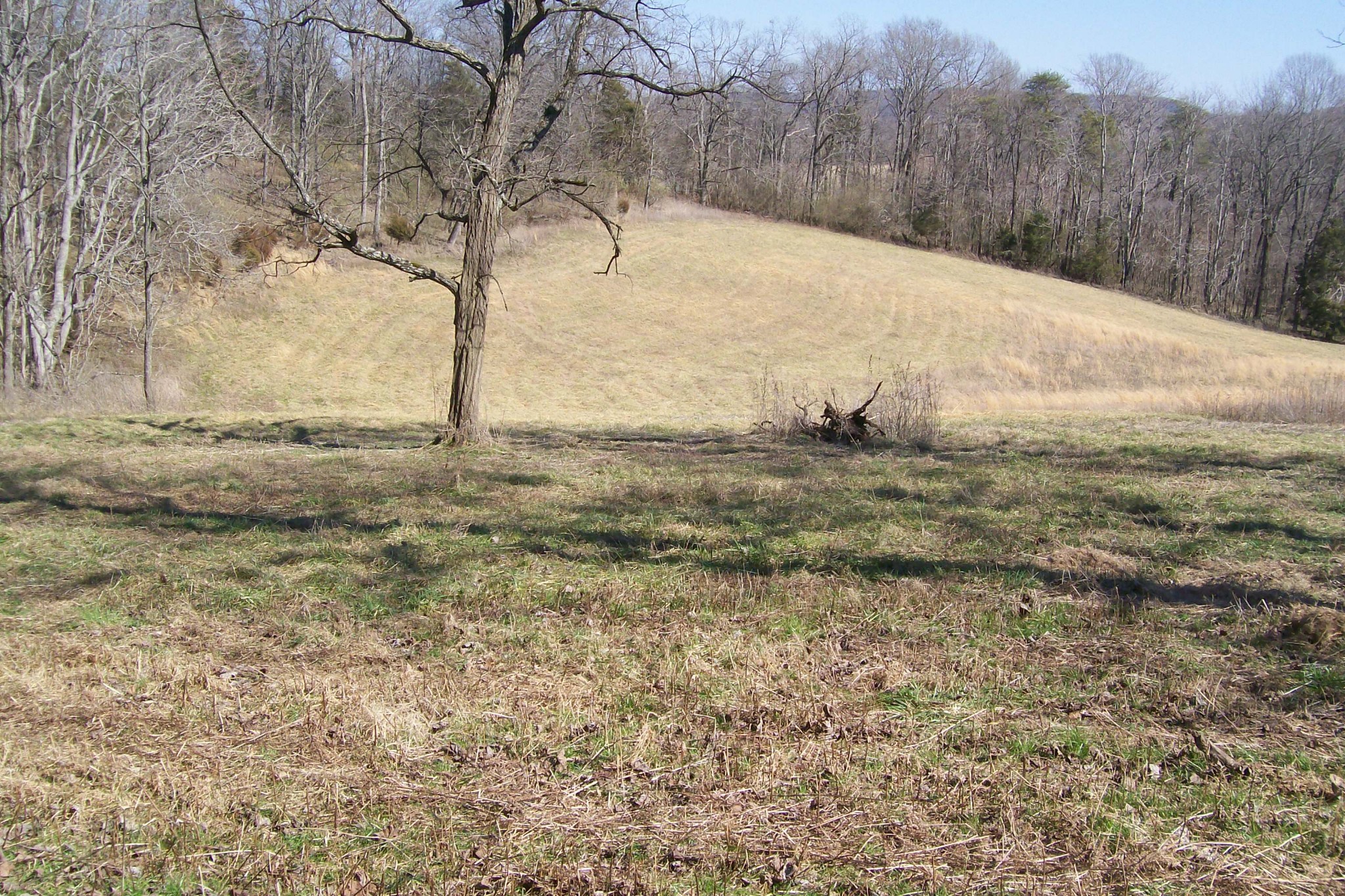 16800 Old Kentucky Road Walling, TN 38587 - Photo 5 of 11 Gallery Image 5