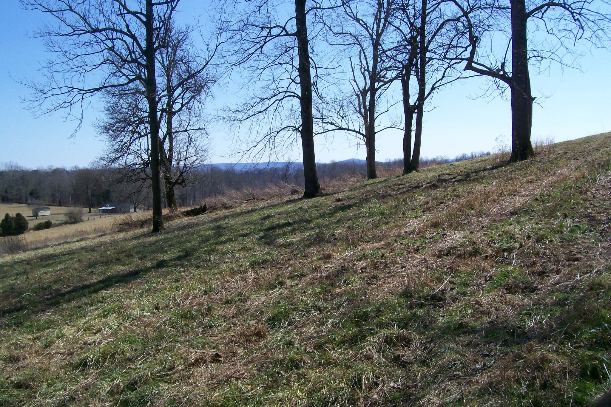 16800 Old Kentucky Road Walling, TN 38587 - Photo 6 of 11 Gallery Image 6