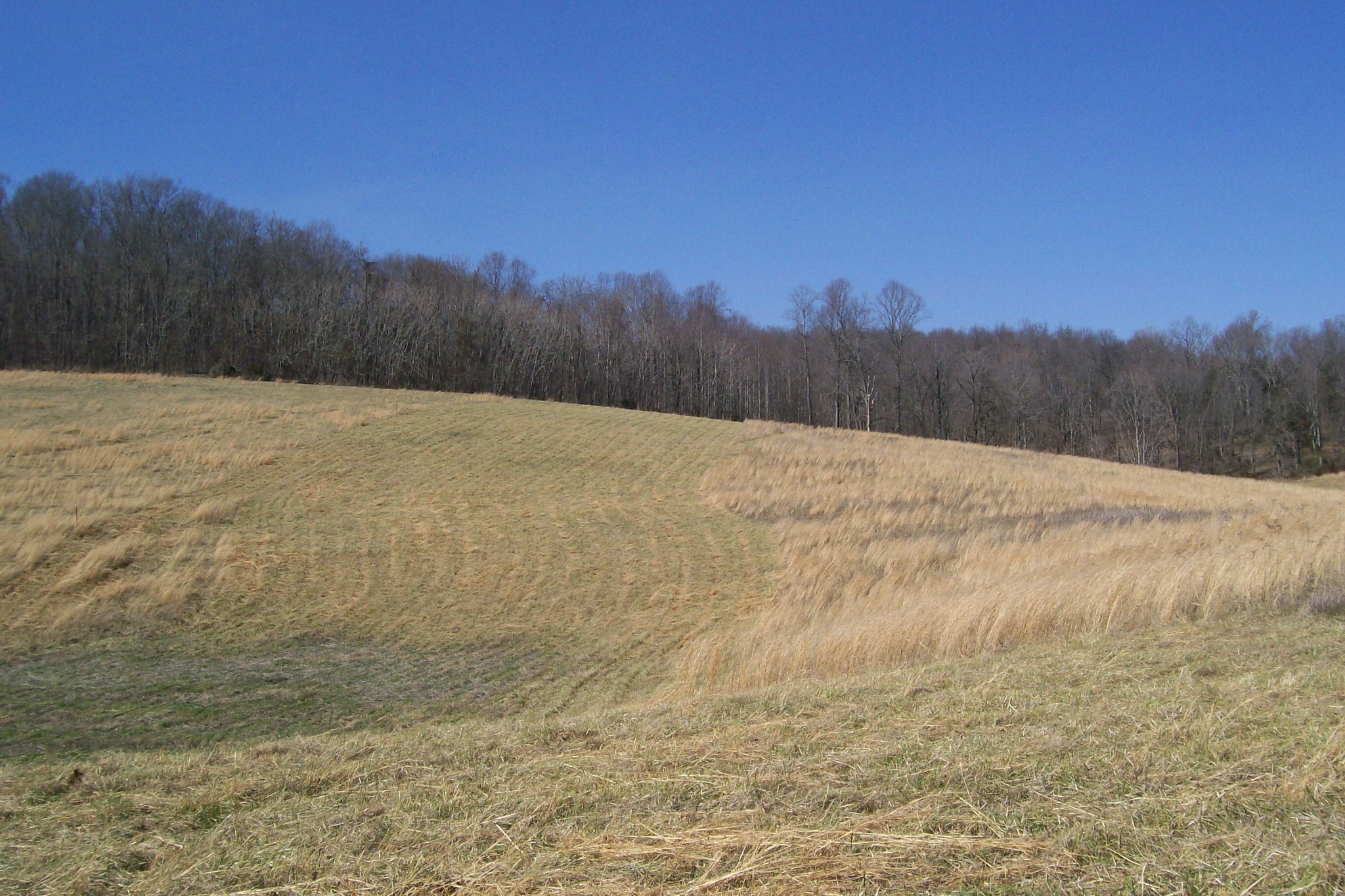 16800 Old Kentucky Road Walling, TN 38587 - Photo 7 of 11 Gallery Image 7
