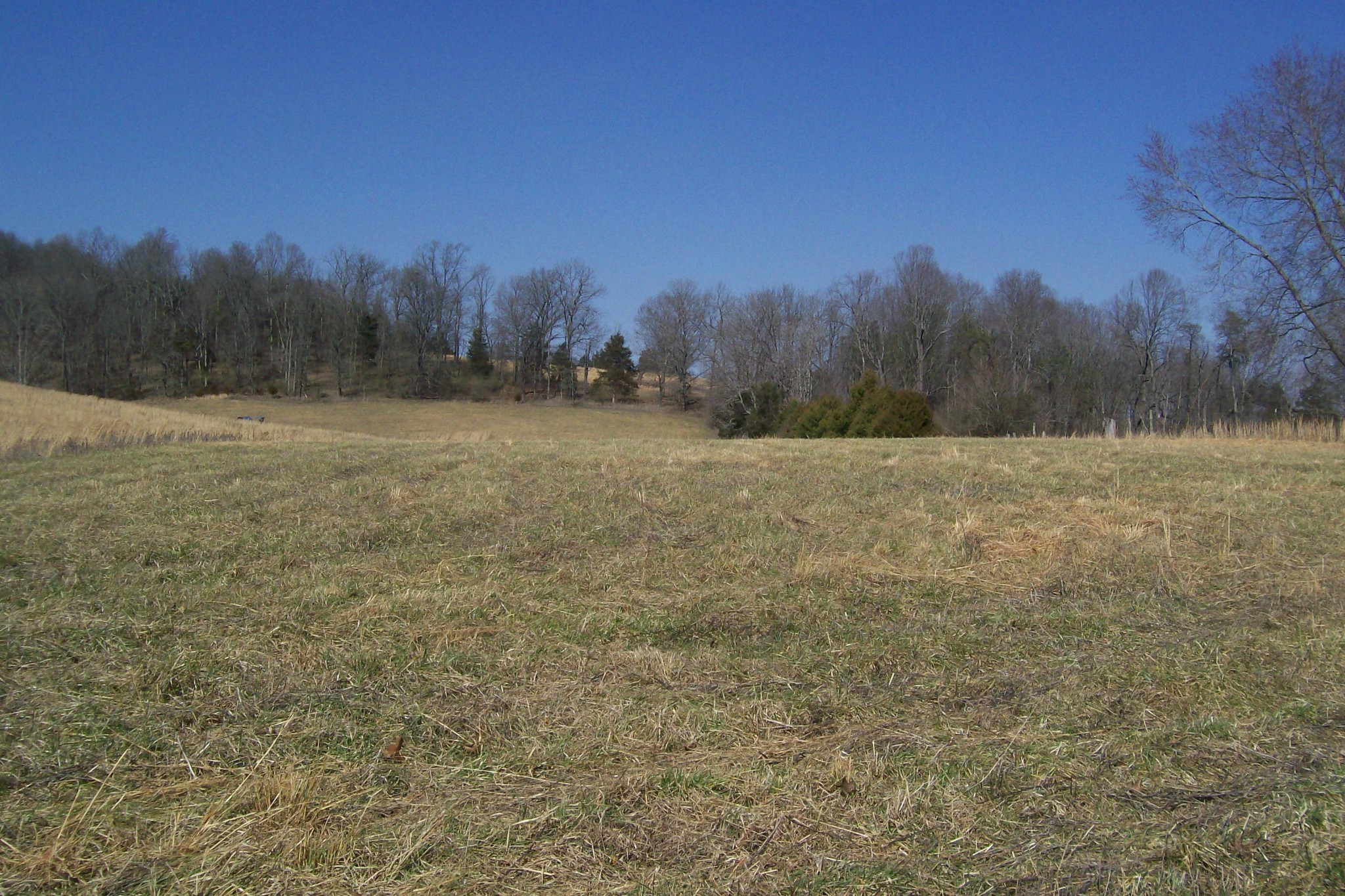 16800 Old Kentucky Road Walling, TN 38587 - Photo 8 of 11 Gallery Image 8