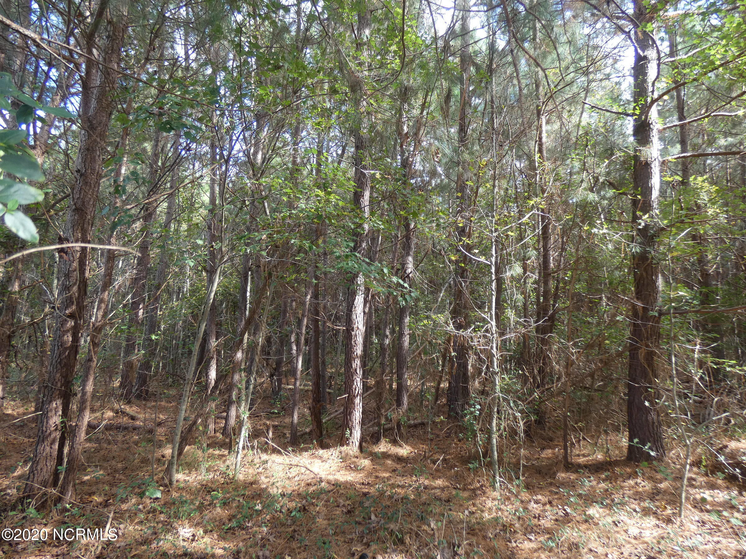 1 Devond Tew Road Roseboro, NC 28382 - Photo 8 of 15 P1080004