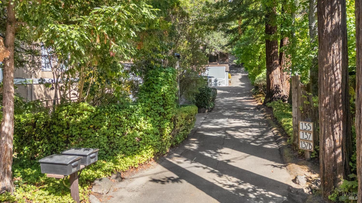 135-137 Spring Grove Avenue San Rafael, CA 94901 - Photo 71 of 71