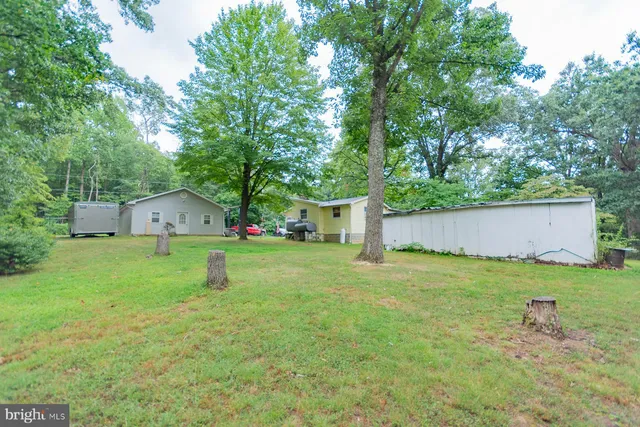 a view of a backyard with small cabin