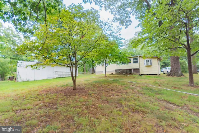 a backyard of a house with plants and tree