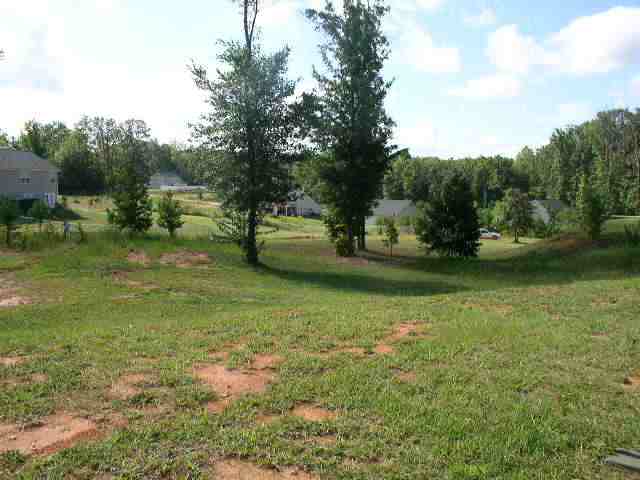 1235 Massey Road Pendleton, SC 29670 - Photo 4 of 20