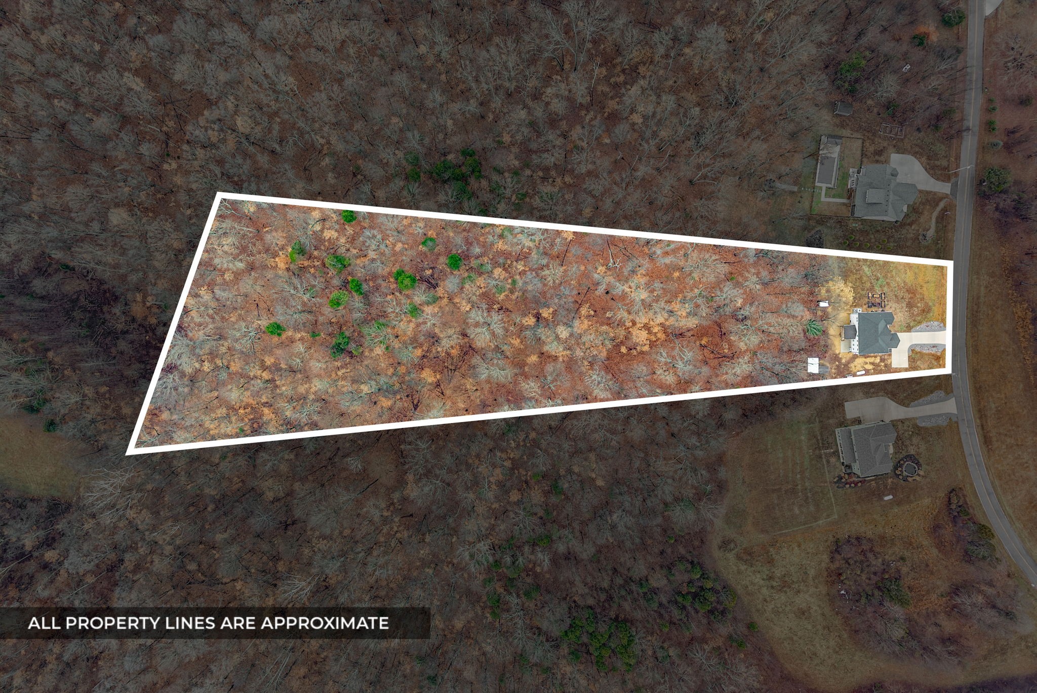 2854 Benton Ridge Road Palmyra, TN 37142 - Photo 3 of 64 a view of a large window