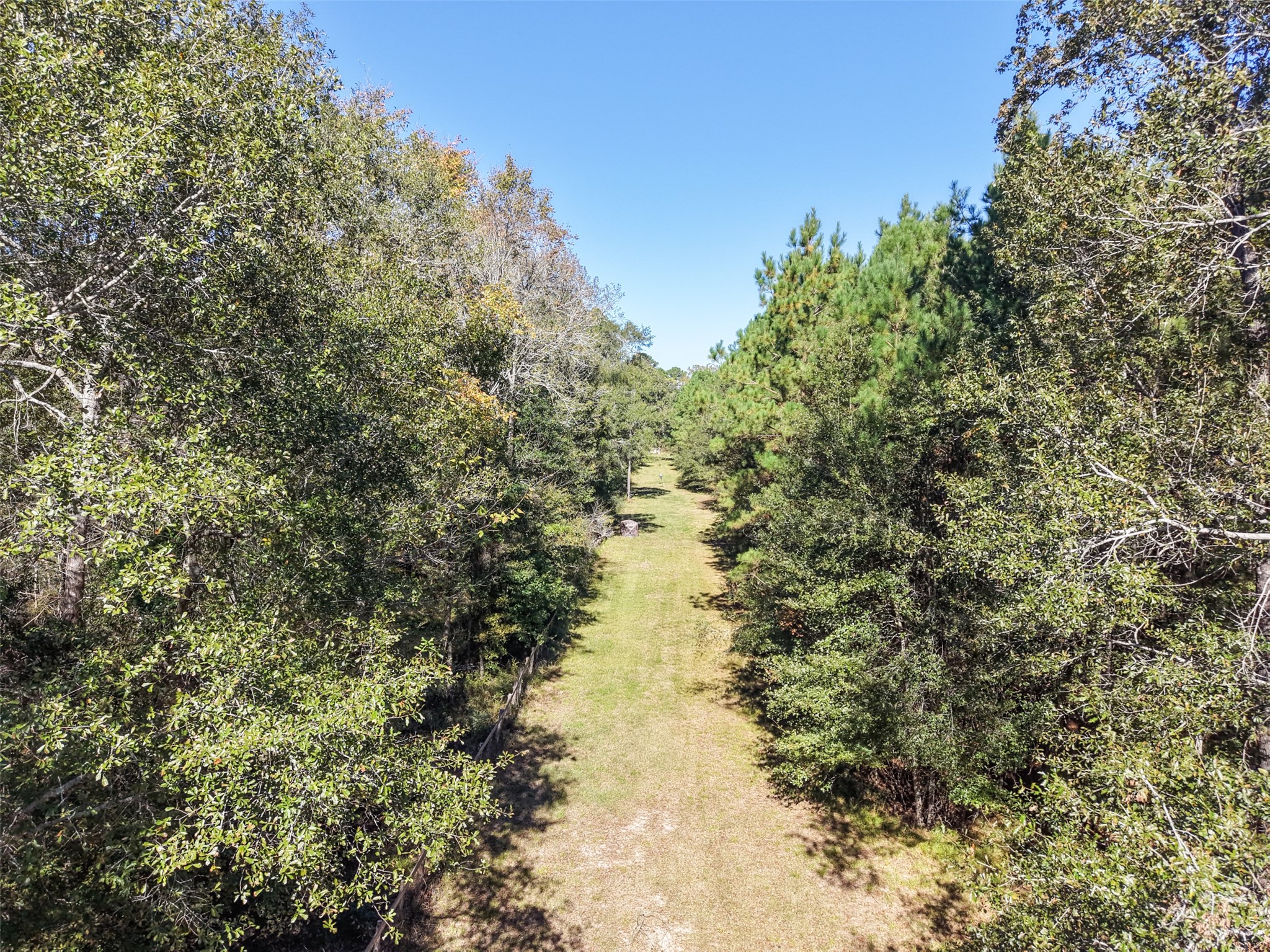 64 Gourd Creek Cemetary Road Huntsville, TX 77340 - Photo 16 of 34 a view of lake