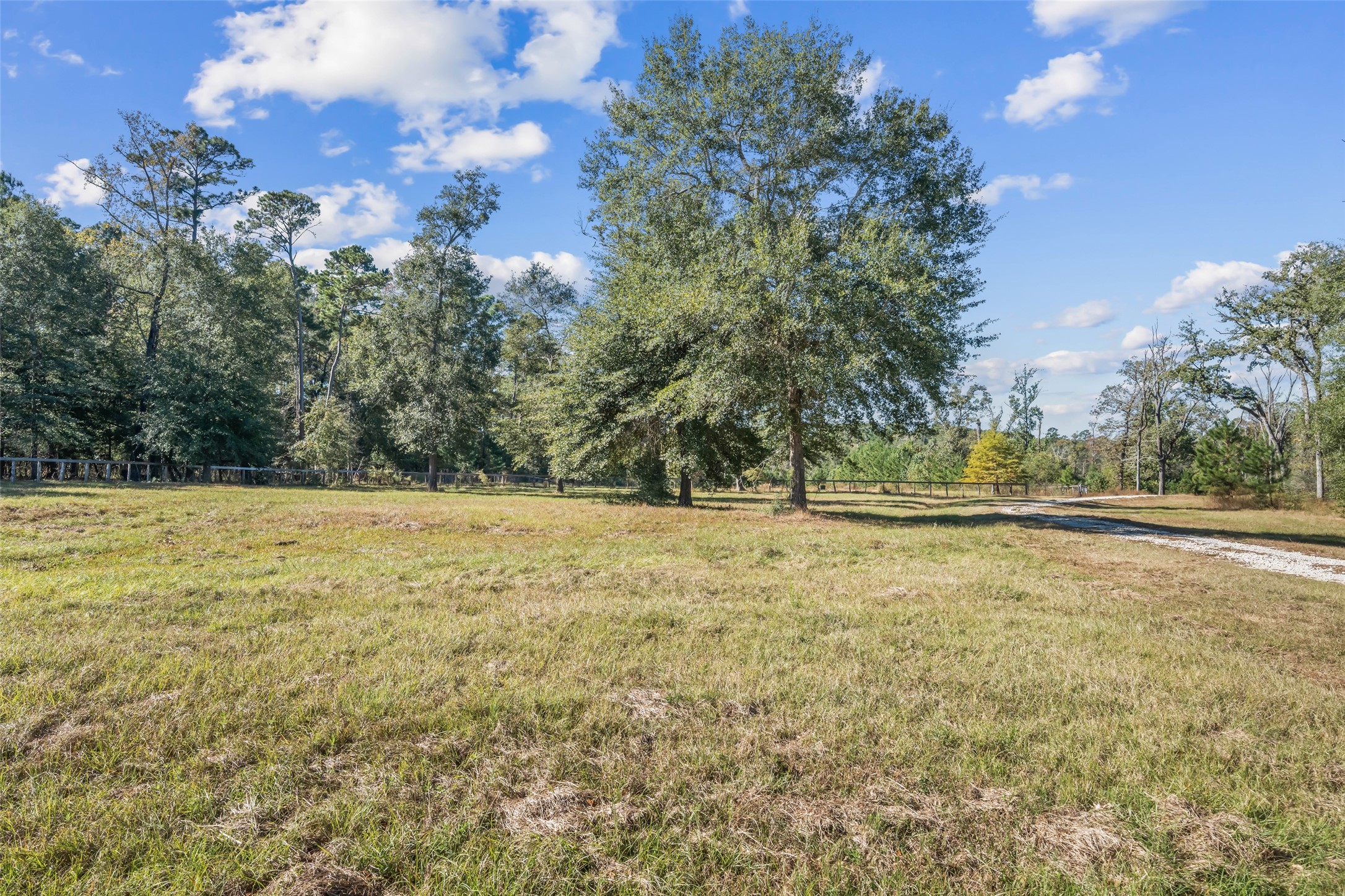 64 Gourd Creek Cemetary Road Huntsville, TX 77340 - Photo 17 of 34 a view of yard with large trees