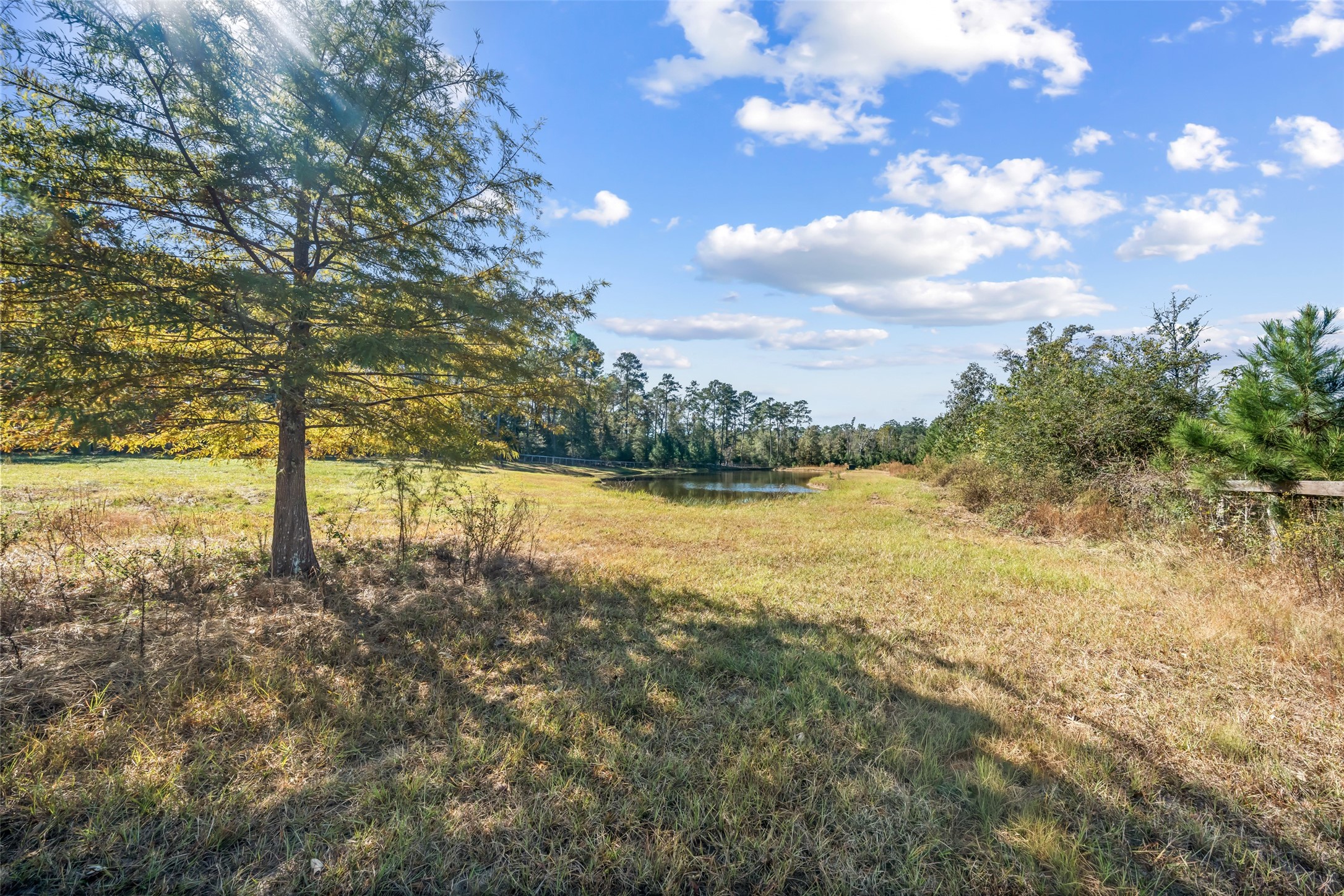 64 Gourd Creek Cemetary Road Huntsville, TX 77340 - Photo 18 of 34 a view of lake with green space