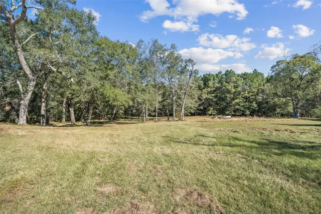 a view of yard with trees