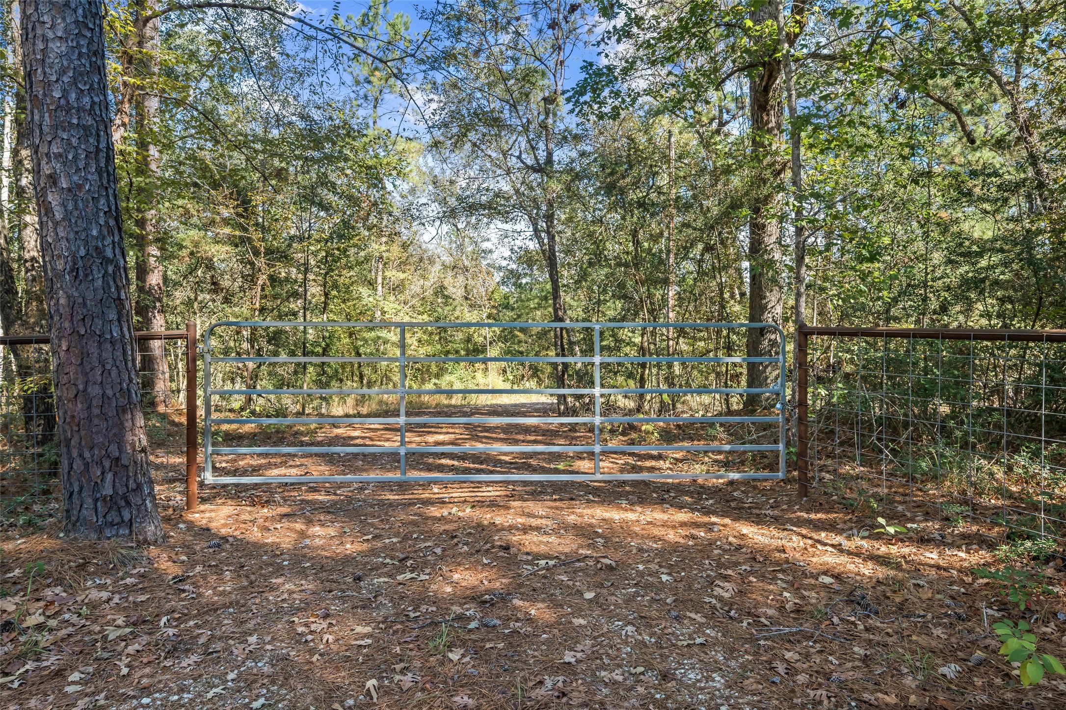 64 Gourd Creek Cemetary Road Huntsville, TX 77340 - Photo 25 of 34 a view of outdoor space with city view