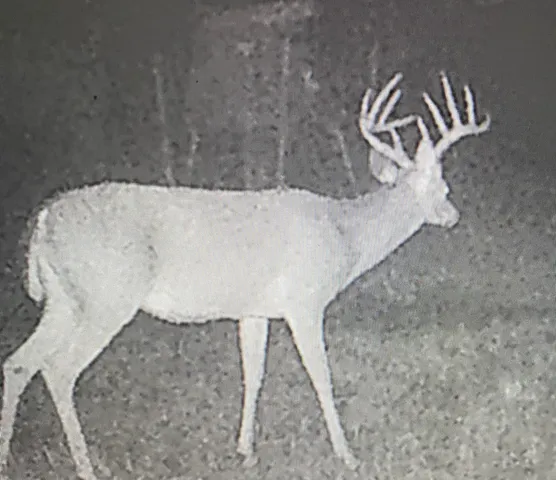 a picture of a wall and a white wall