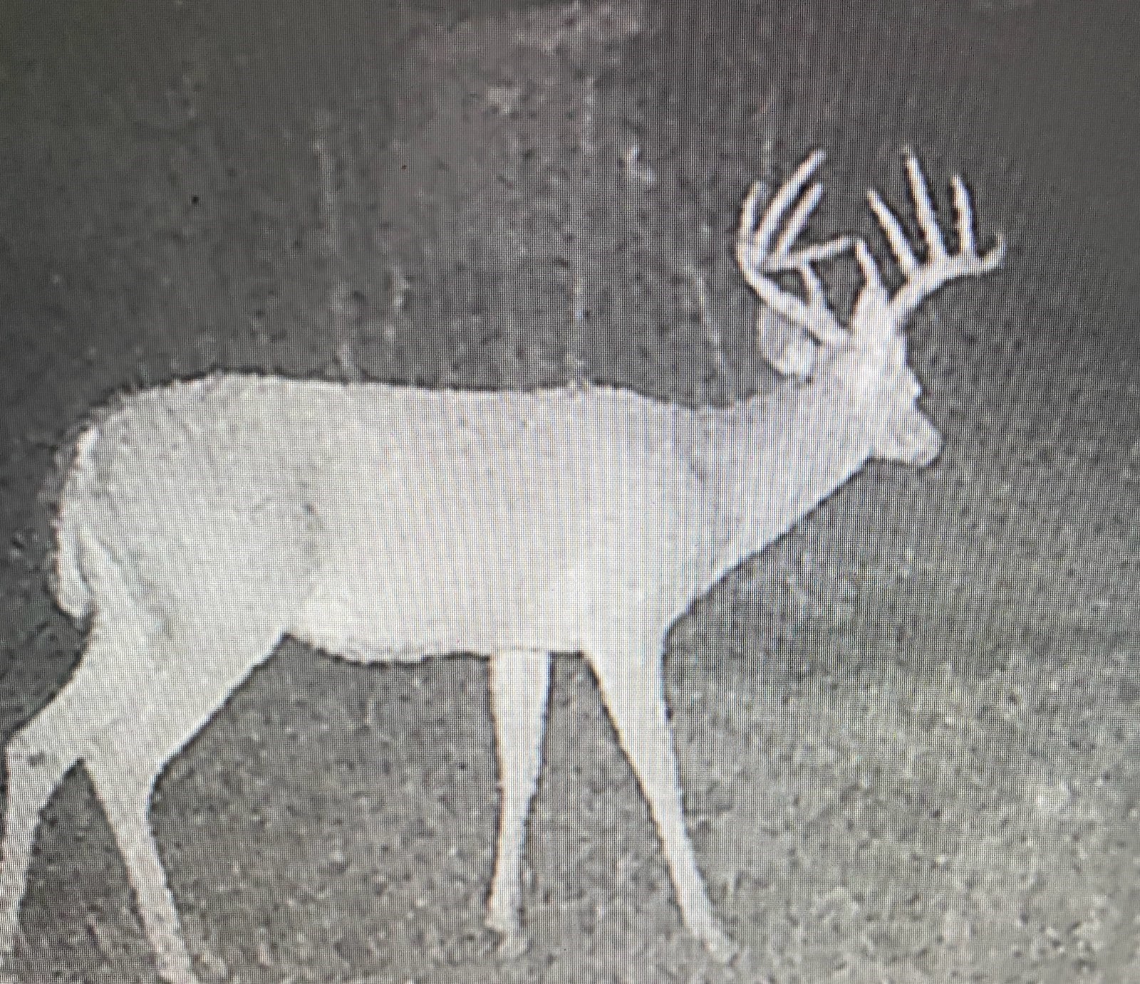 64 Gourd Creek Cemetary Road Huntsville, TX 77340 - Photo 29 of 34 a view of wooden floor