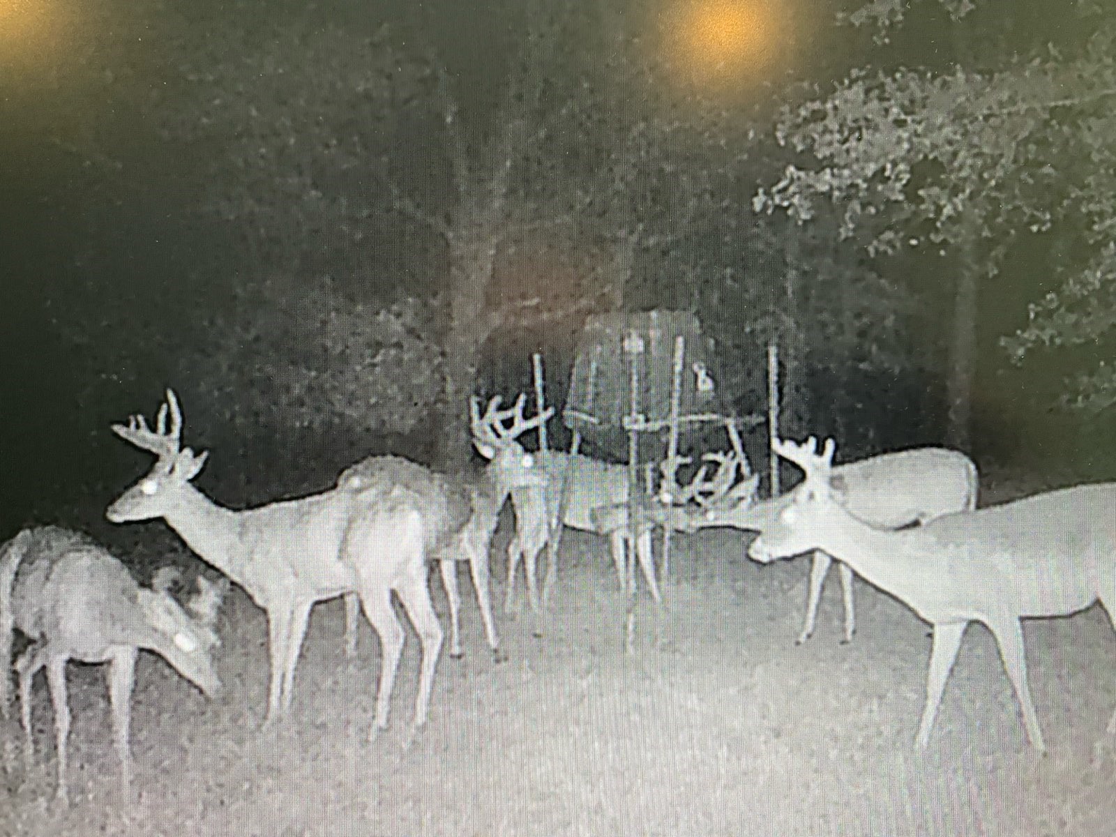 64 Gourd Creek Cemetary Road Huntsville, TX 77340 - Photo 30 of 34 a dining room with furniture and wooden floor