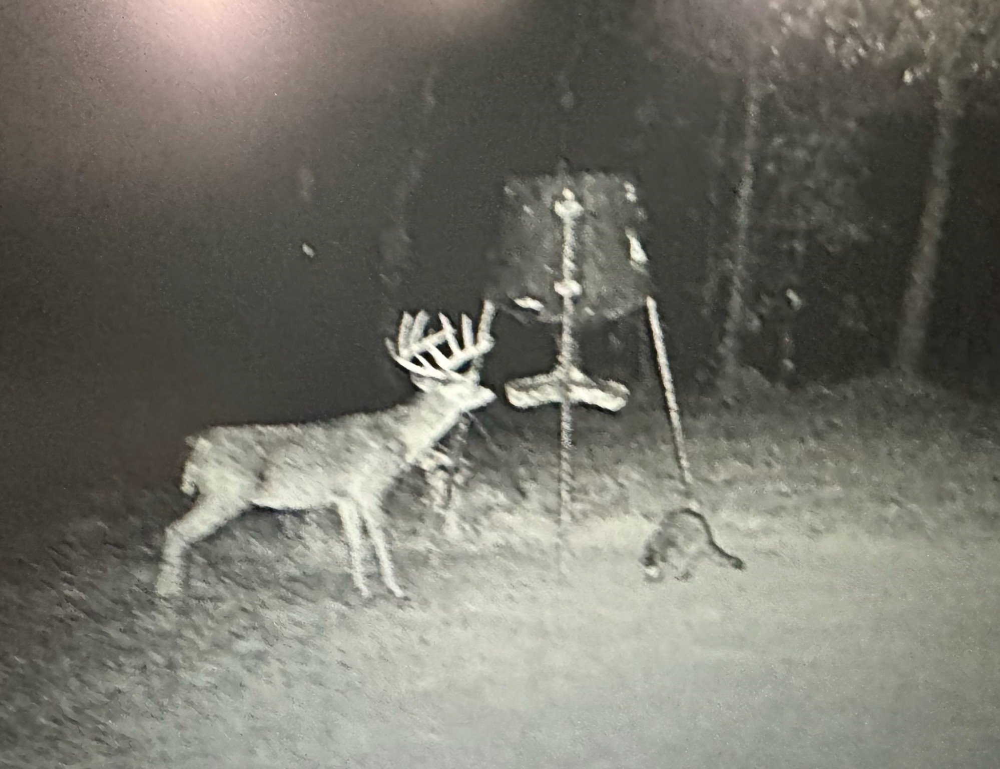 64 Gourd Creek Cemetary Road Huntsville, TX 77340 - Photo 31 of 34 a close view of a table in chairs