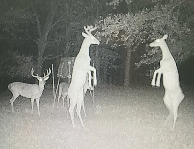 a close view of a table in chairs