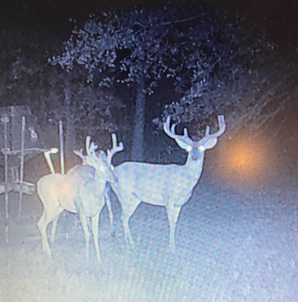 64 Gourd Creek Cemetary Road Huntsville, TX 77340 - Photo 33 of 34 a view of a table and chairs in a patio