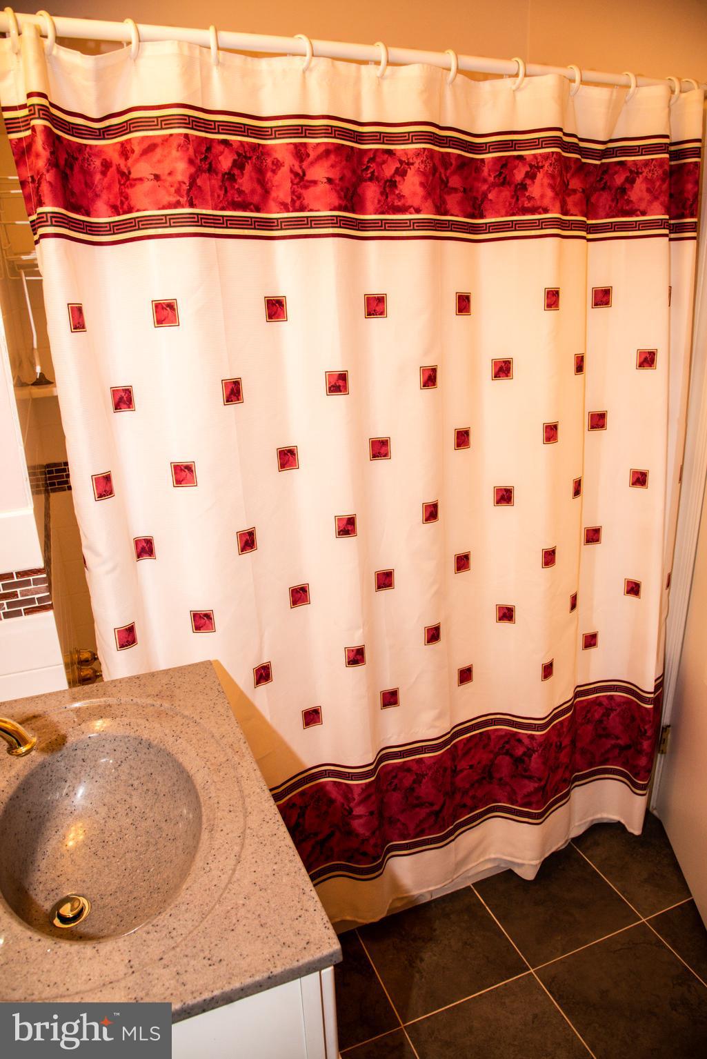 13 Princeton Road Wayne, PA 19087 - Photo 22 of 49 Hall Bathroom Tub