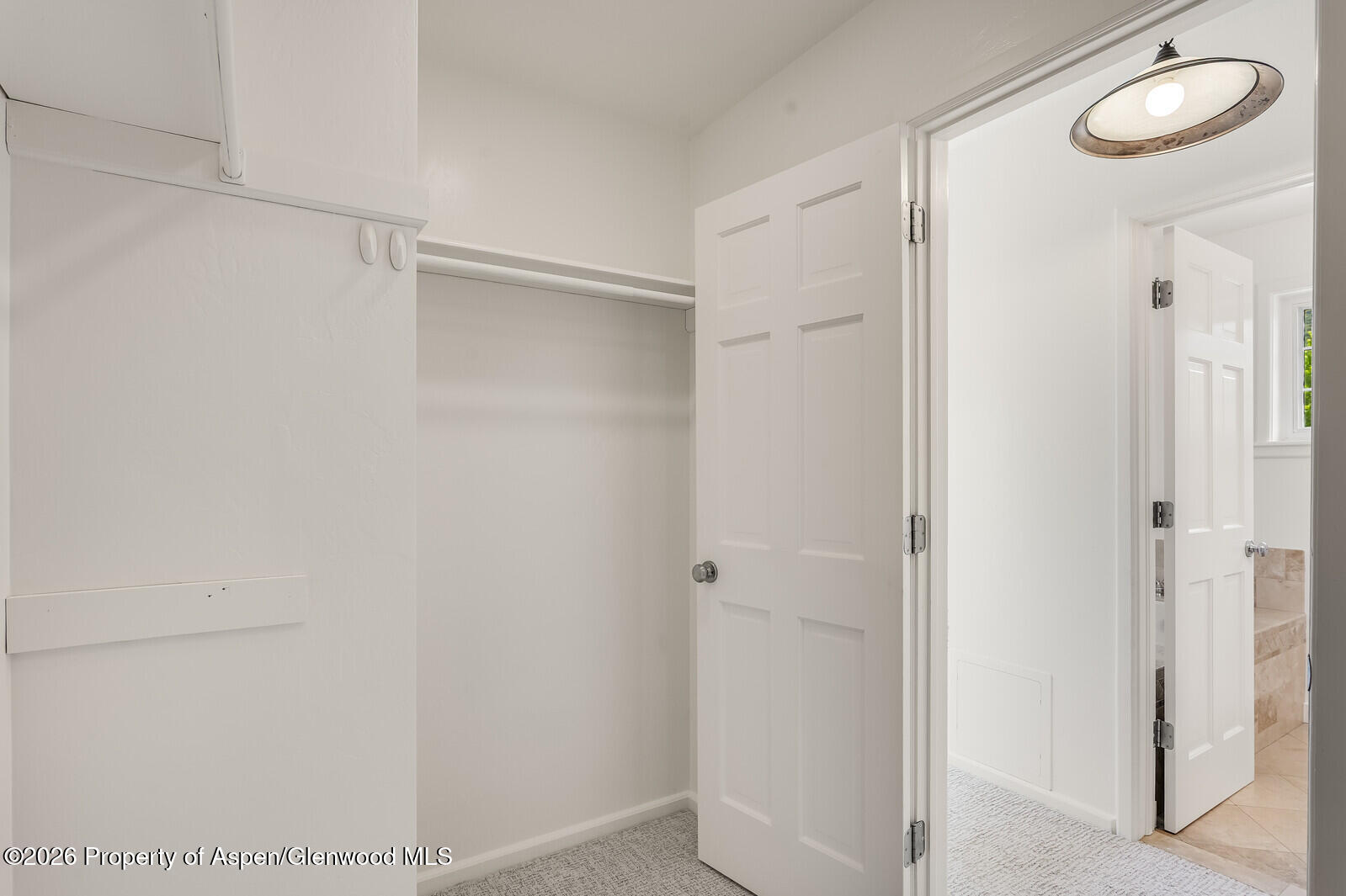 355 Meadow Drive Basalt, CO 81621 - Photo 28 of 38 24-Primary Closet 355_Meadow_Drive061_ml
