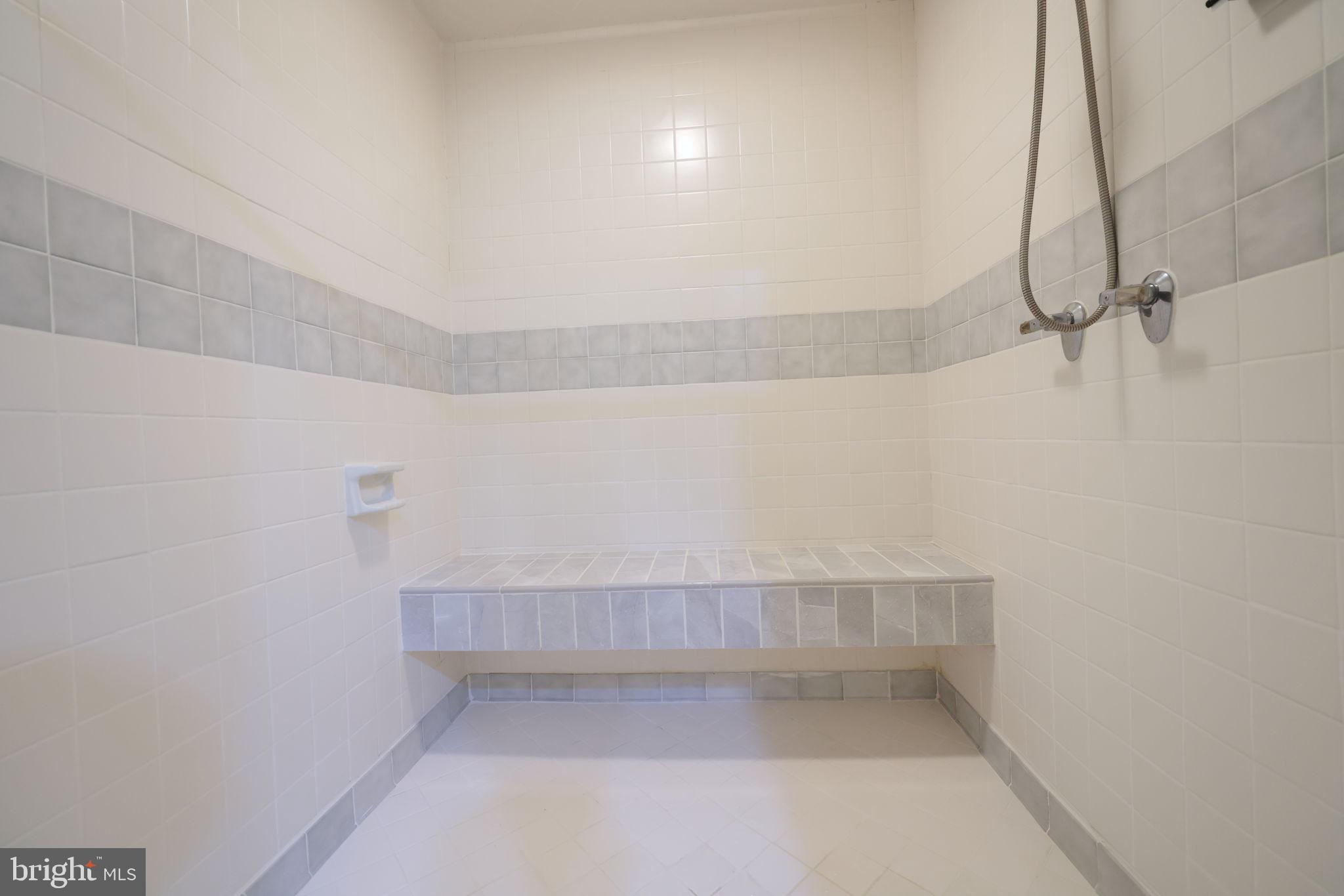 1410 Cedar Avenue McLean, VA 22101 - Photo 20 of 61 a view of walk in closet with empty racks