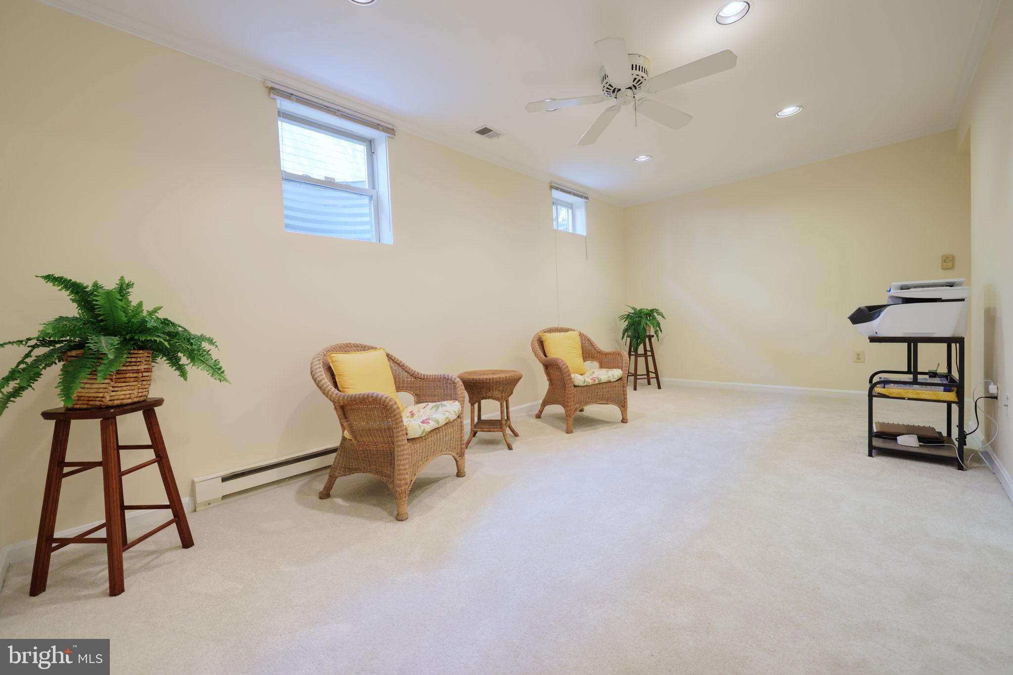 1410 Cedar Avenue McLean, VA 22101 - Photo 34 of 61 a living room with furniture and a potted plant