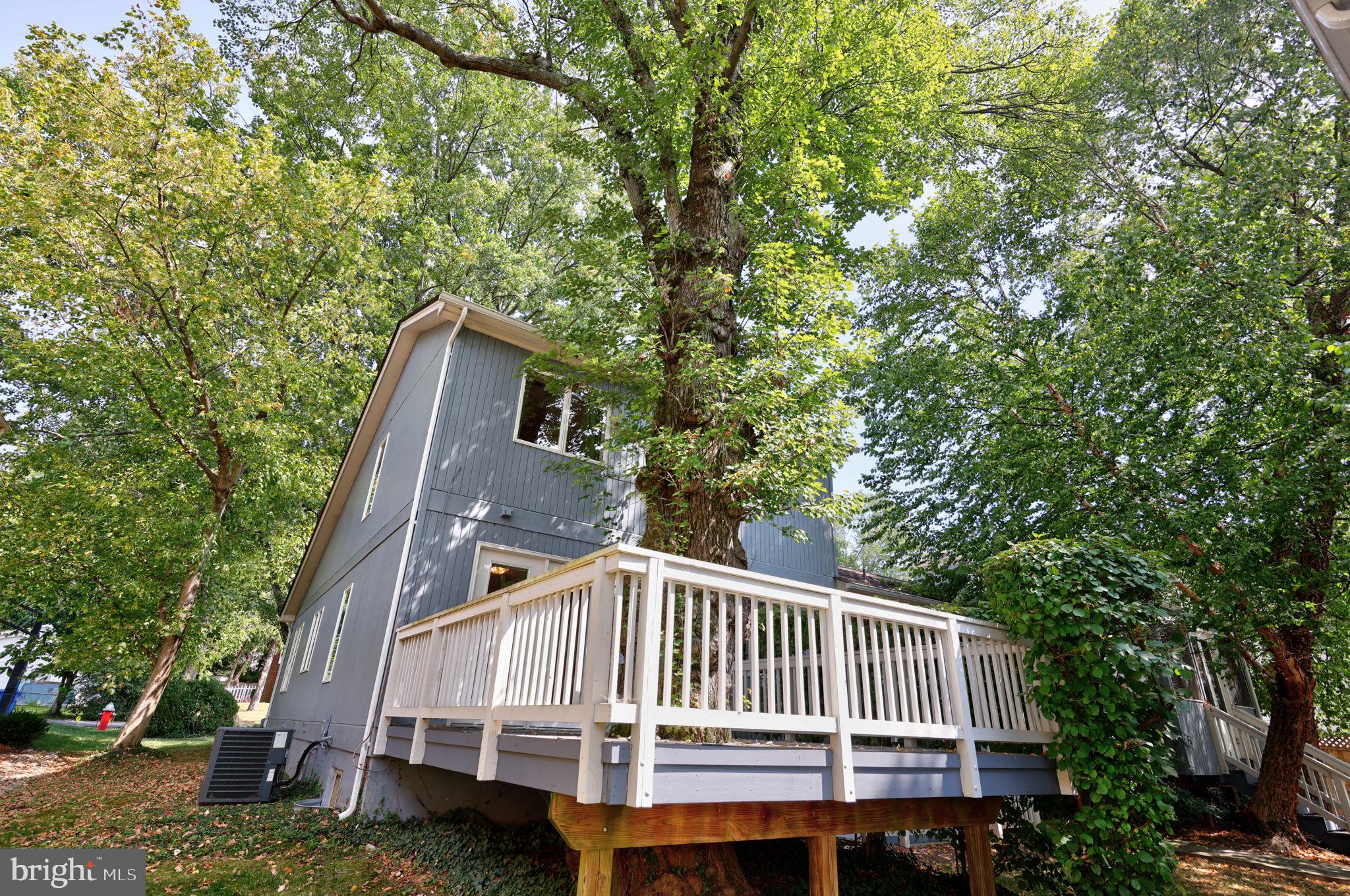 1410 Cedar Avenue McLean, VA 22101 - Photo 46 of 61